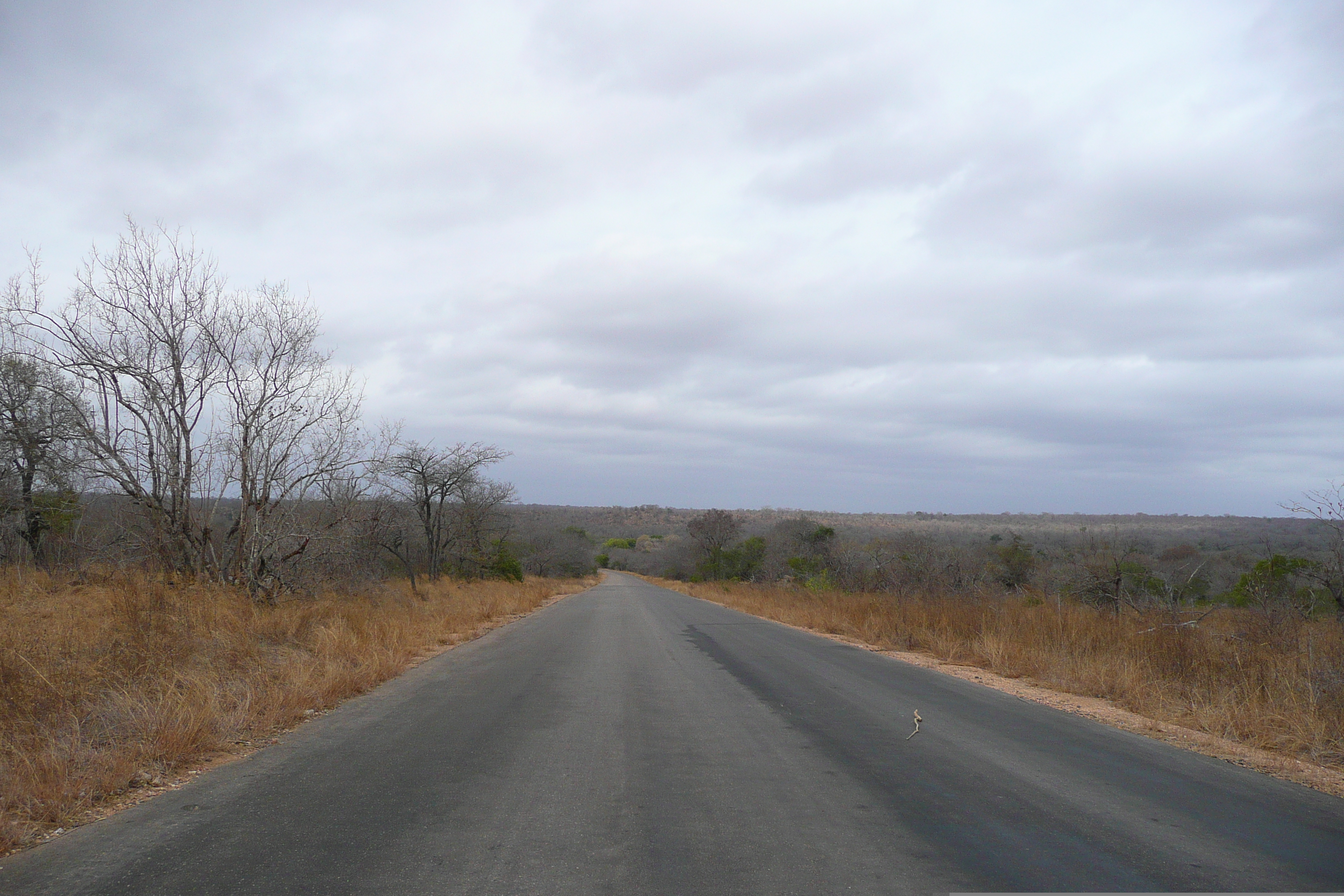 Picture South Africa Kruger National Park 2008-09 180 - Center Kruger National Park