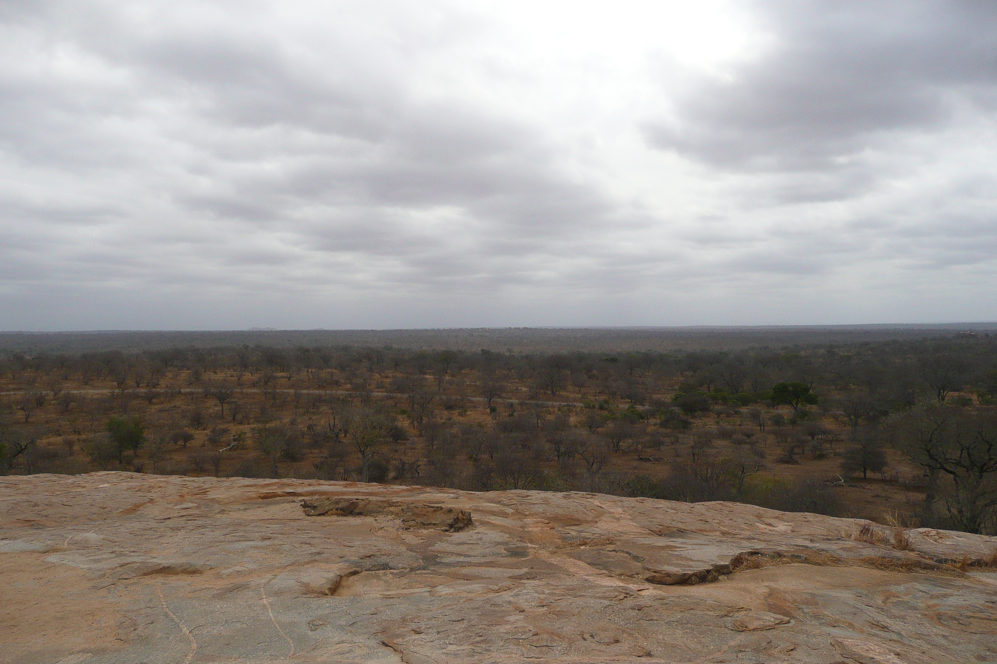 Picture South Africa Kruger National Park 2008-09 185 - Tours Kruger National Park