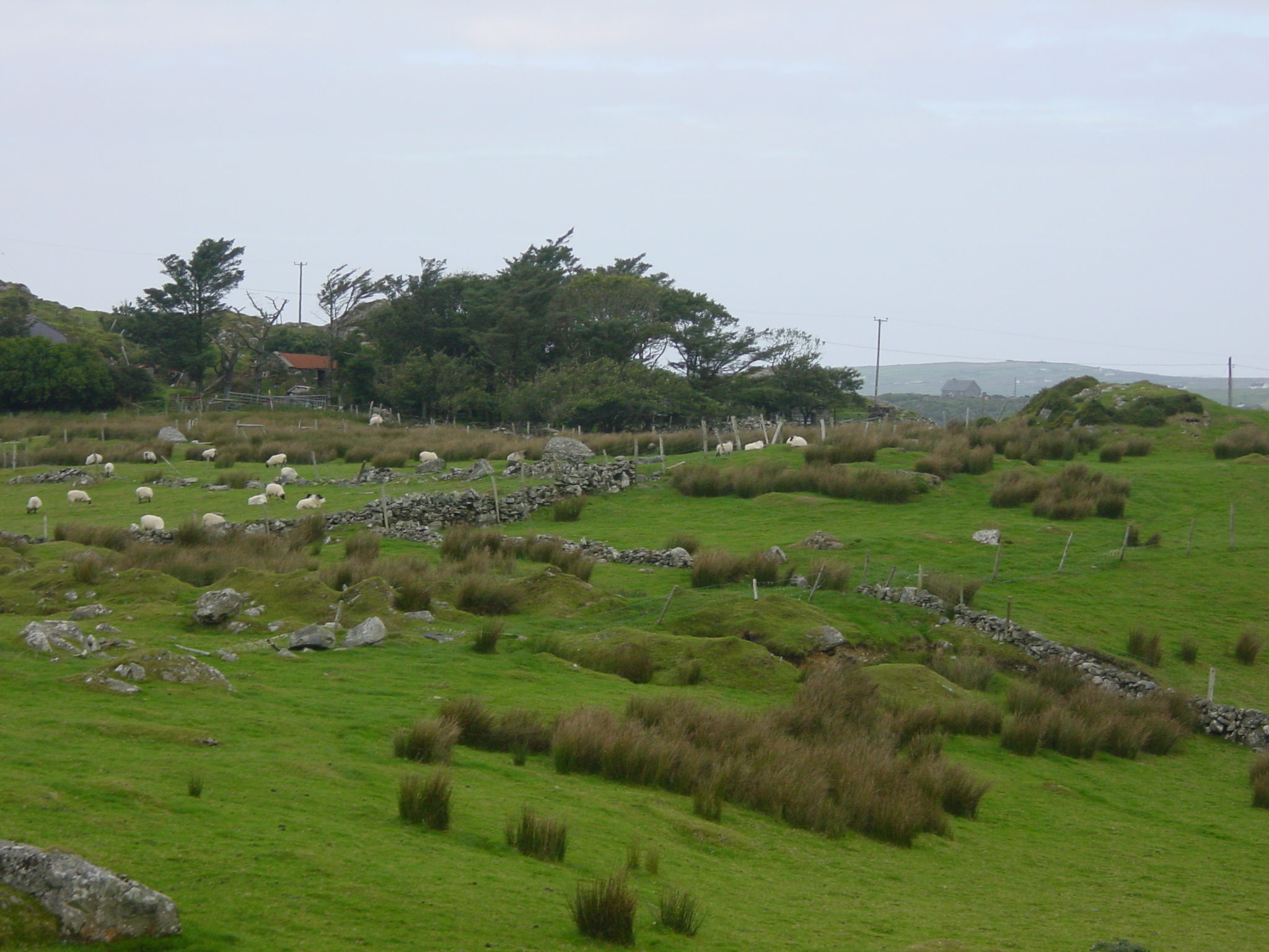 Picture Ireland Connemara 2003-09 69 - Center Connemara