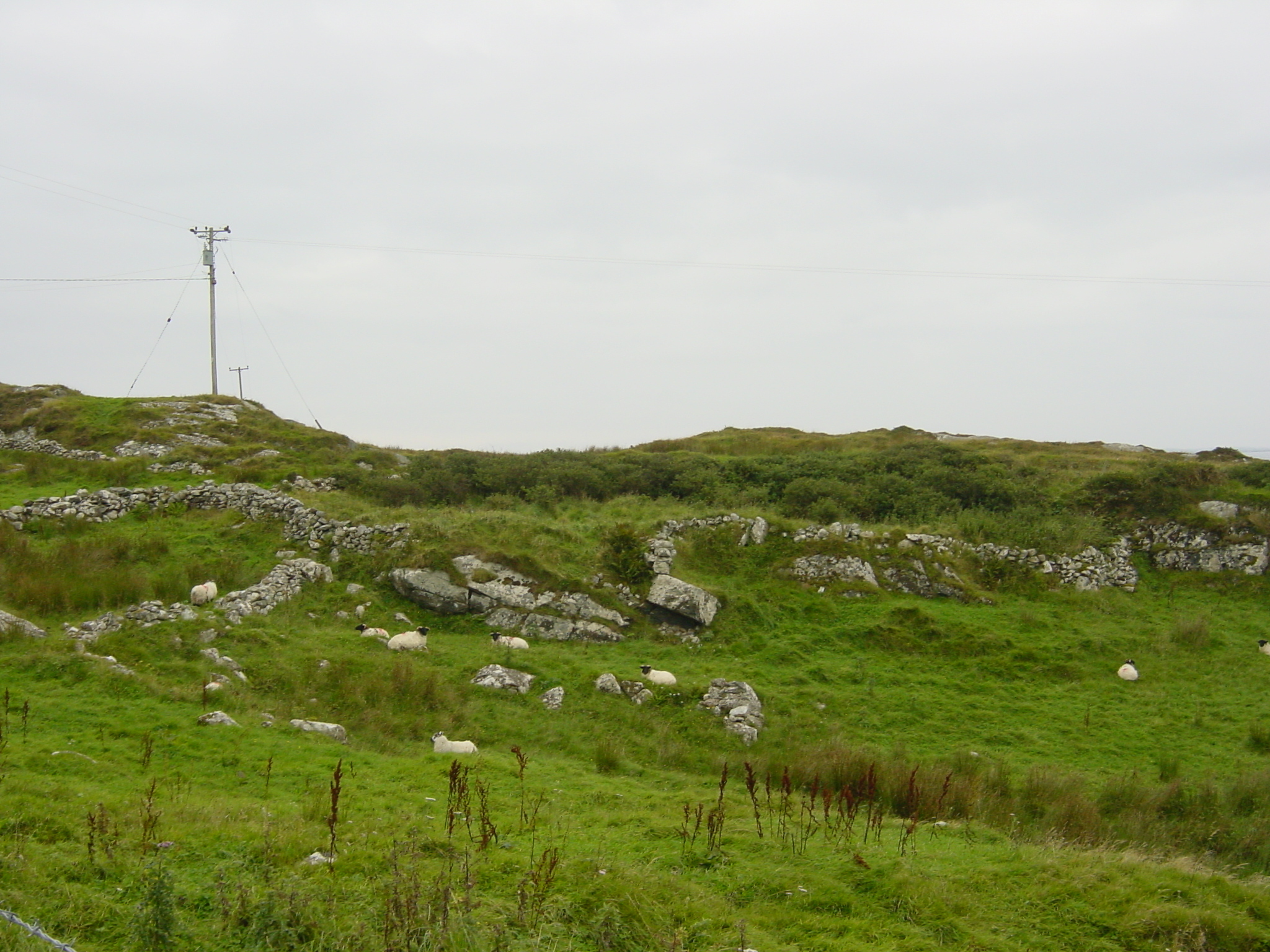 Picture Ireland Connemara 2003-09 66 - Center Connemara