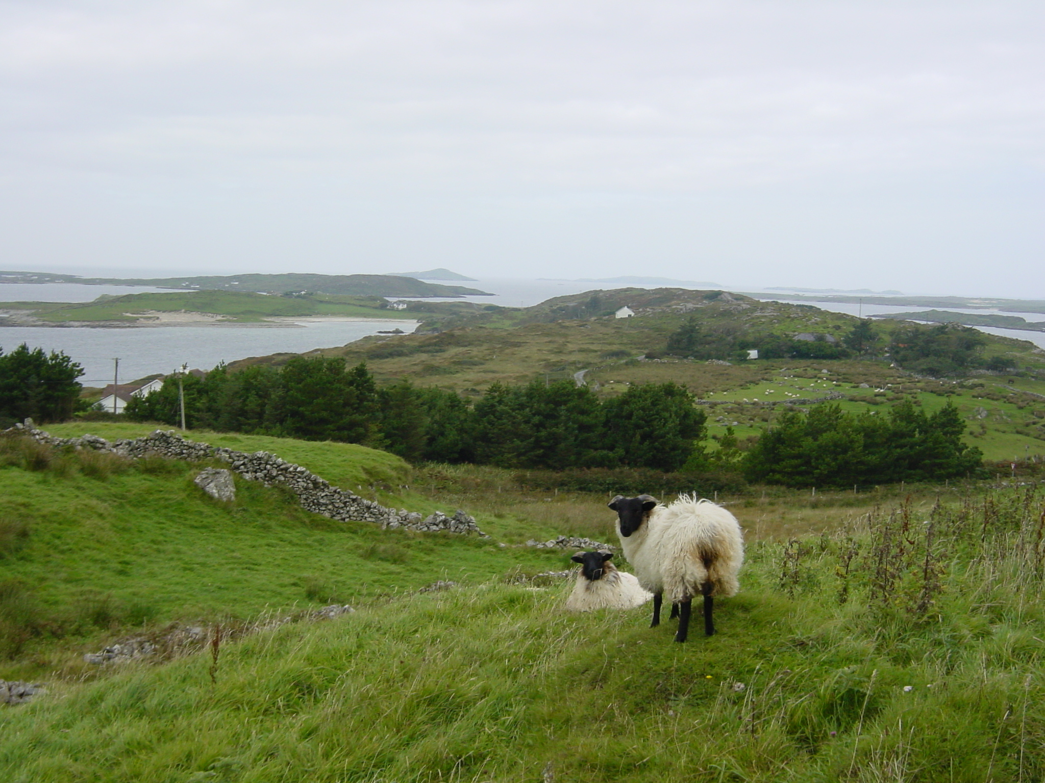 Picture Ireland Connemara 2003-09 36 - Center Connemara