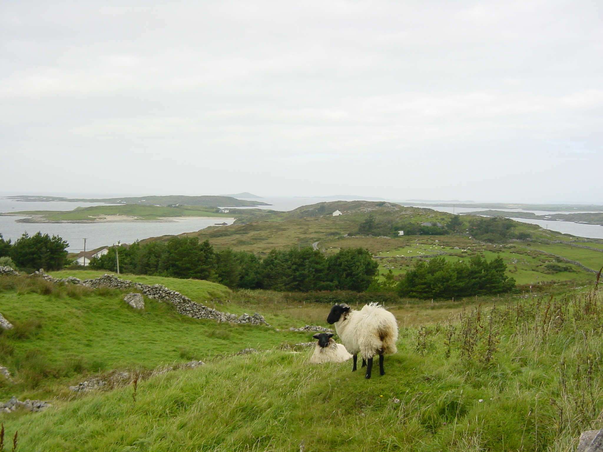 Picture Ireland Connemara 2003-09 43 - Tours Connemara