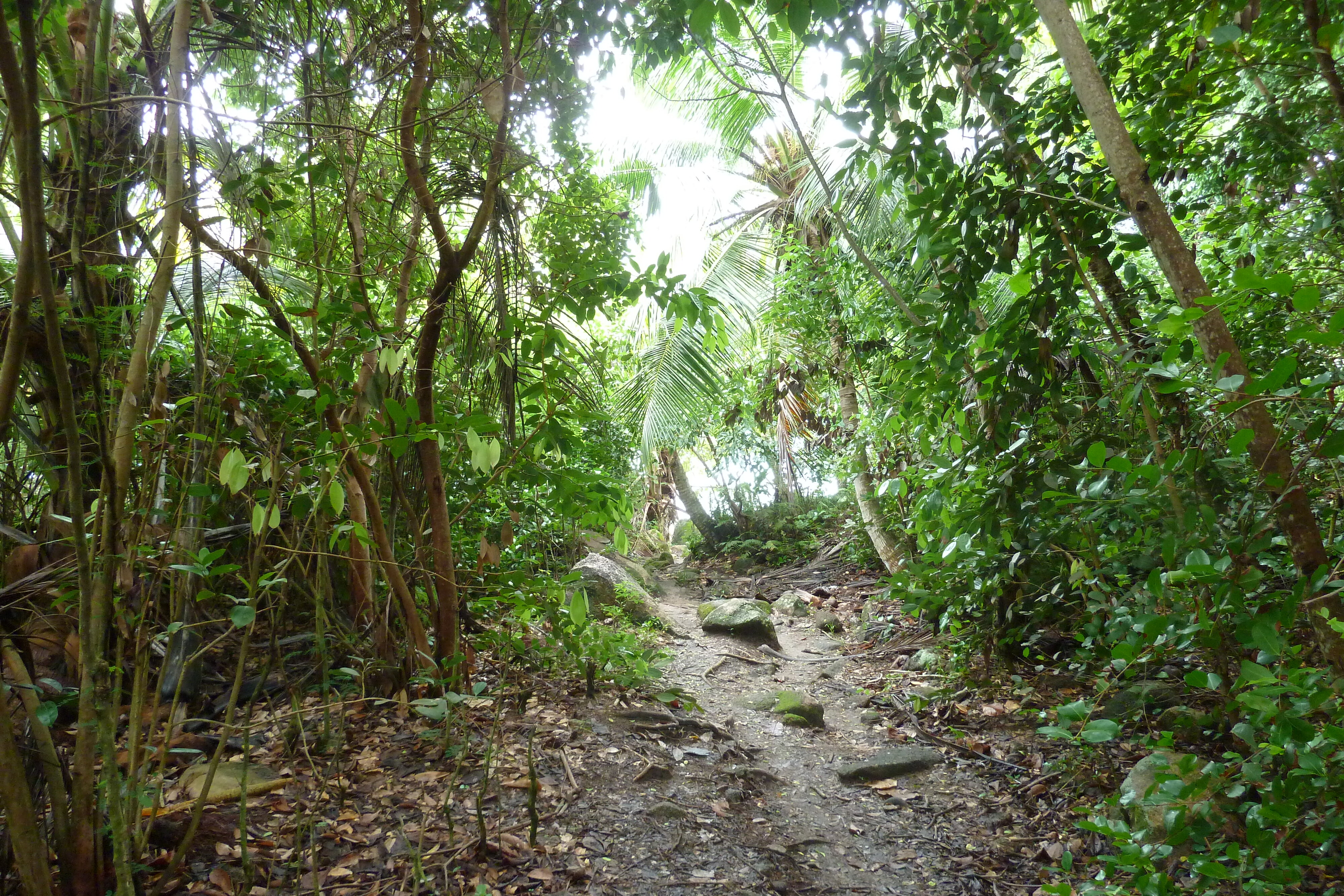 Picture Seychelles Anse Lazio 2011-10 111 - Discovery Anse Lazio