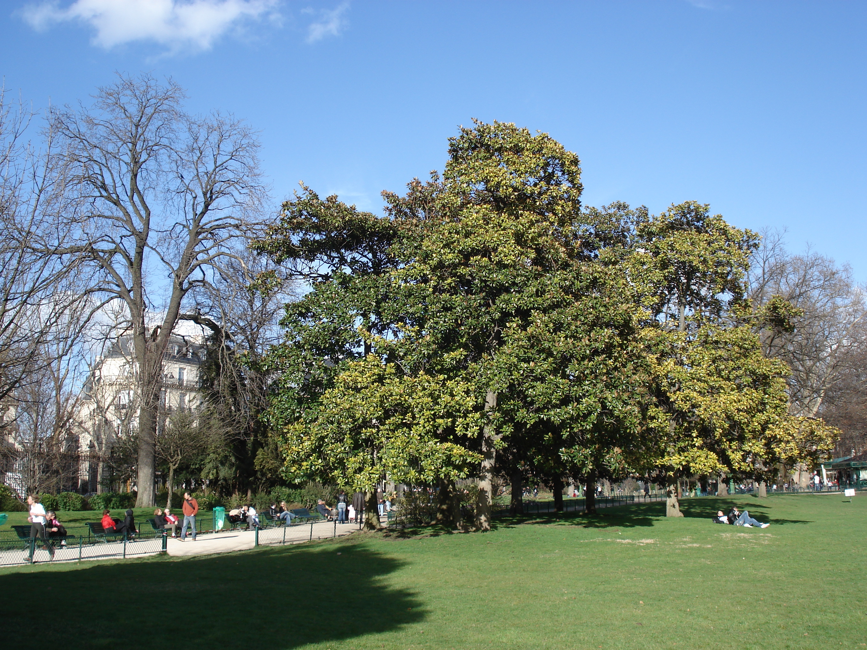 Picture France Paris 8th Arrondissement Monceau Garden 2006-03 56 - Discovery Monceau Garden