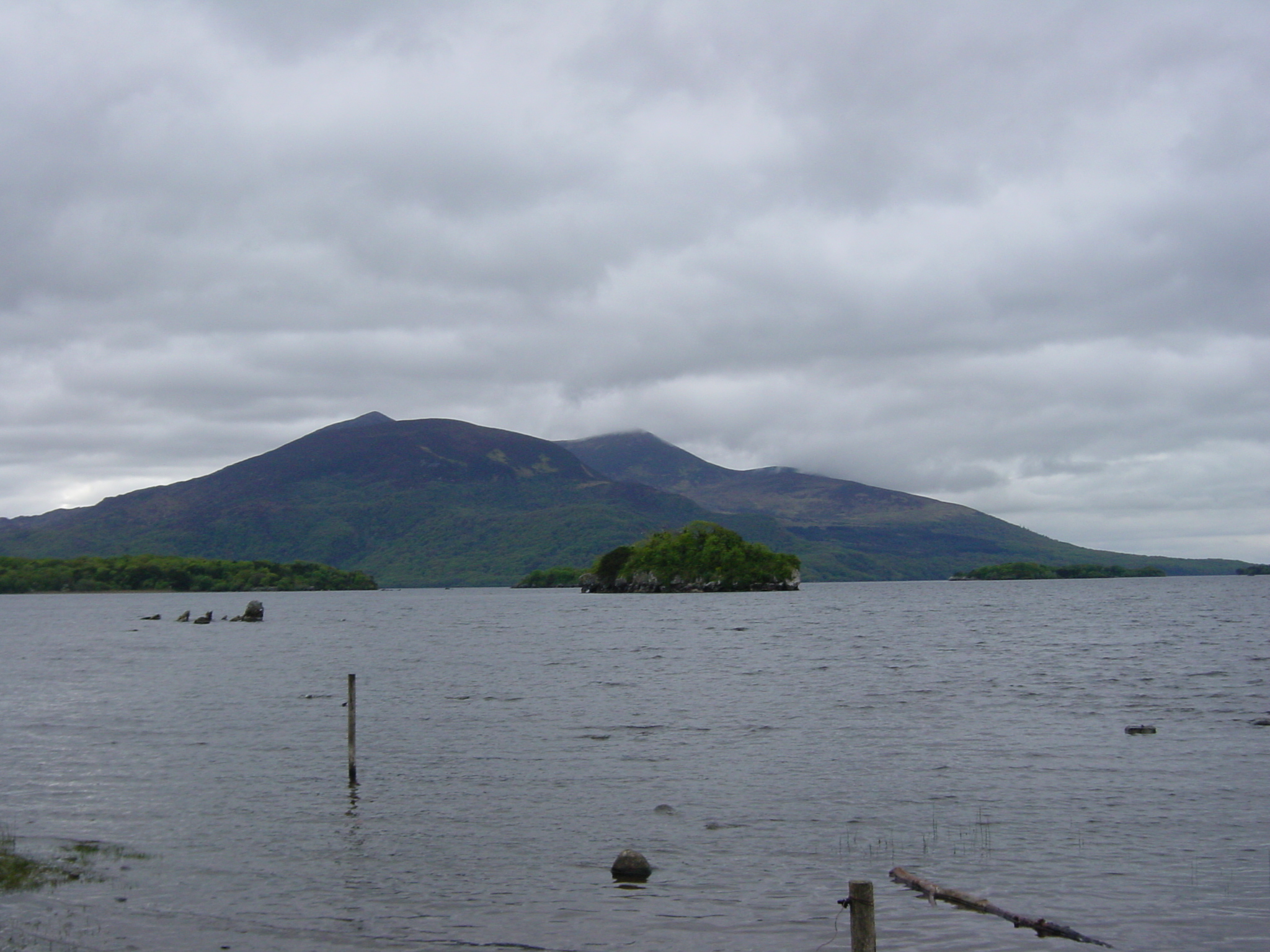 Picture Ireland Kerry Killarney National Park Muckross House 2004-05 33 - Discovery Muckross House