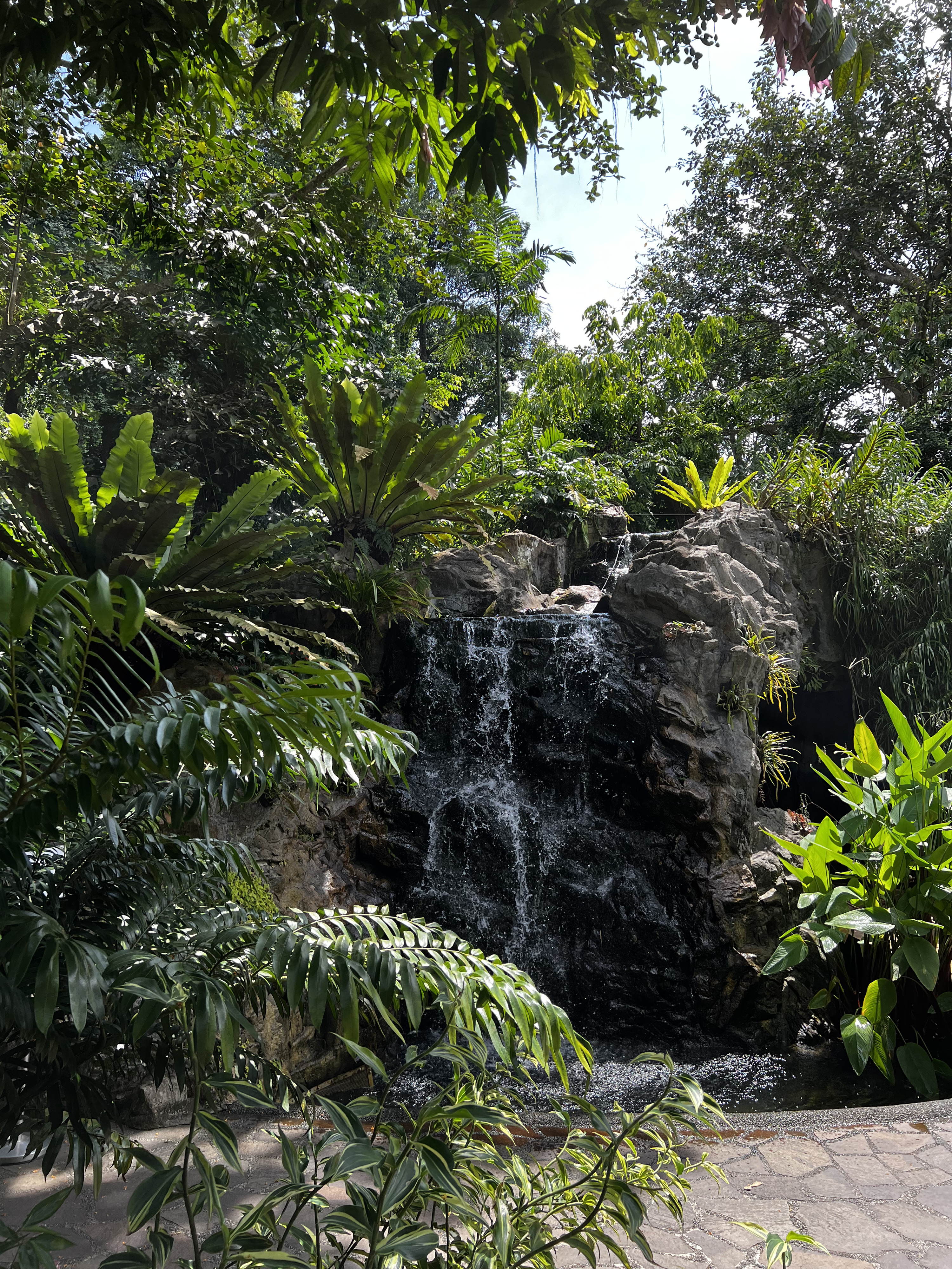 Picture Singapore Singapore Botanic Gardens 2023-01 59 - Journey Singapore Botanic Gardens