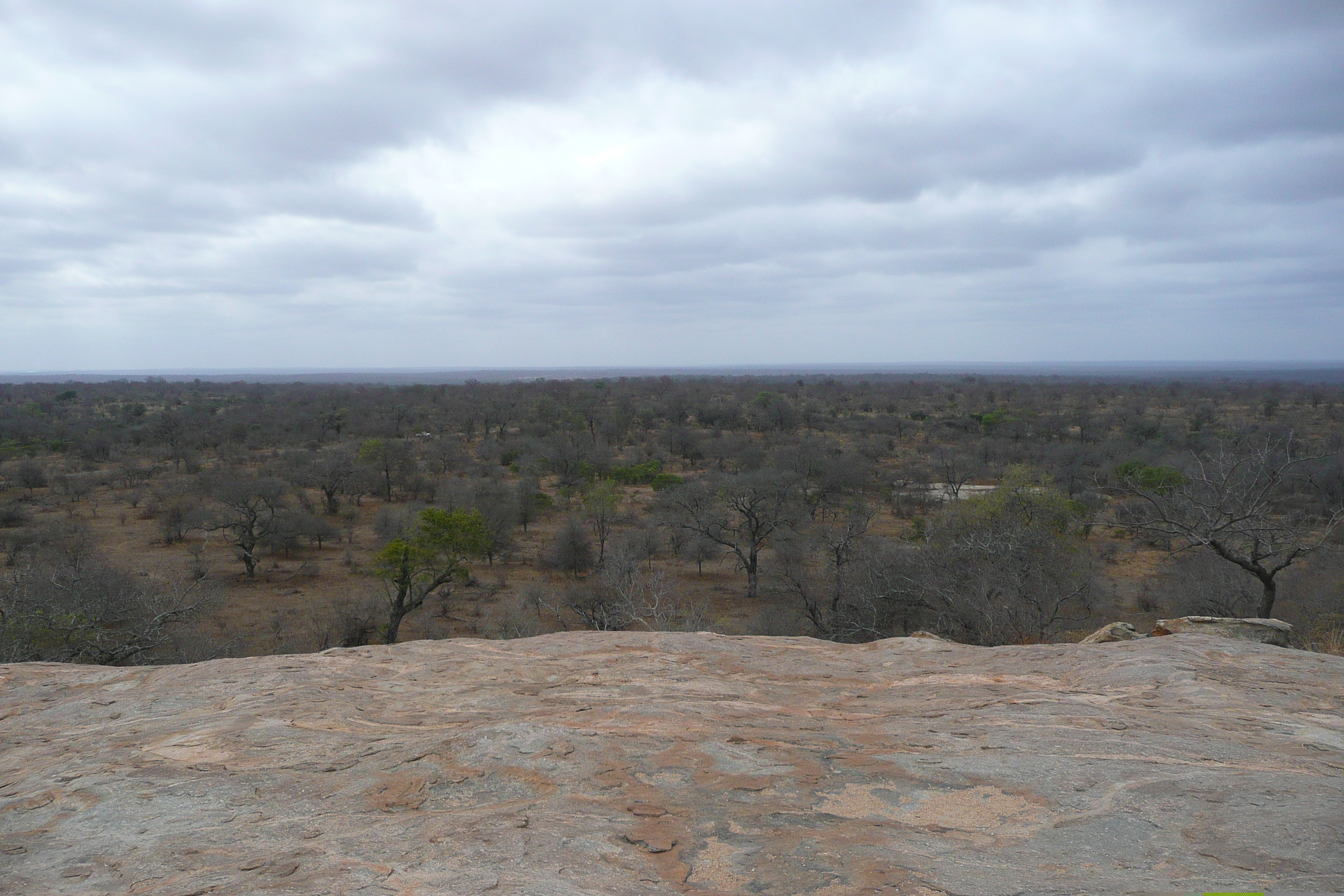 Picture South Africa Kruger National Park 2008-09 11 - Center Kruger National Park