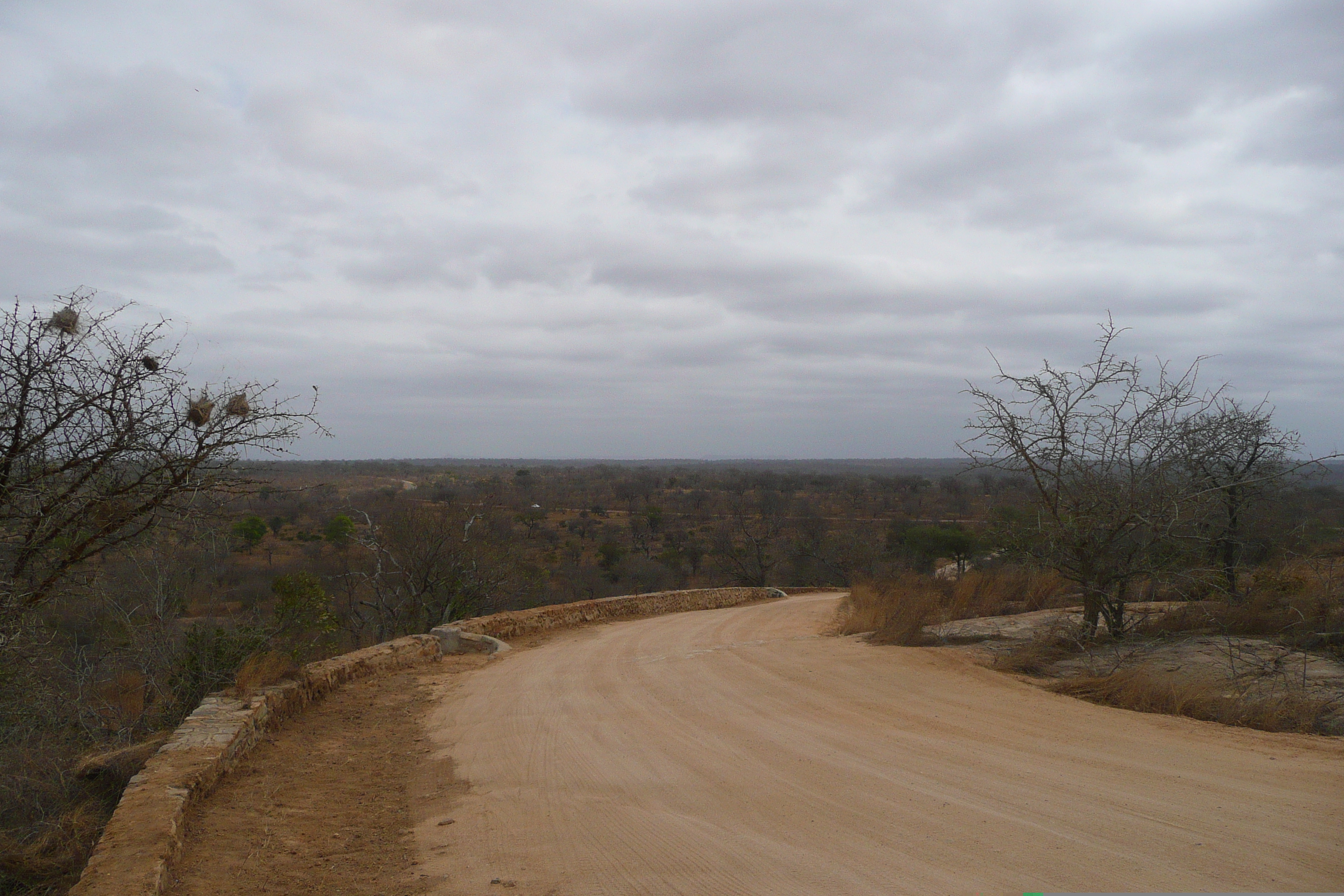 Picture South Africa Kruger National Park 2008-09 16 - Center Kruger National Park