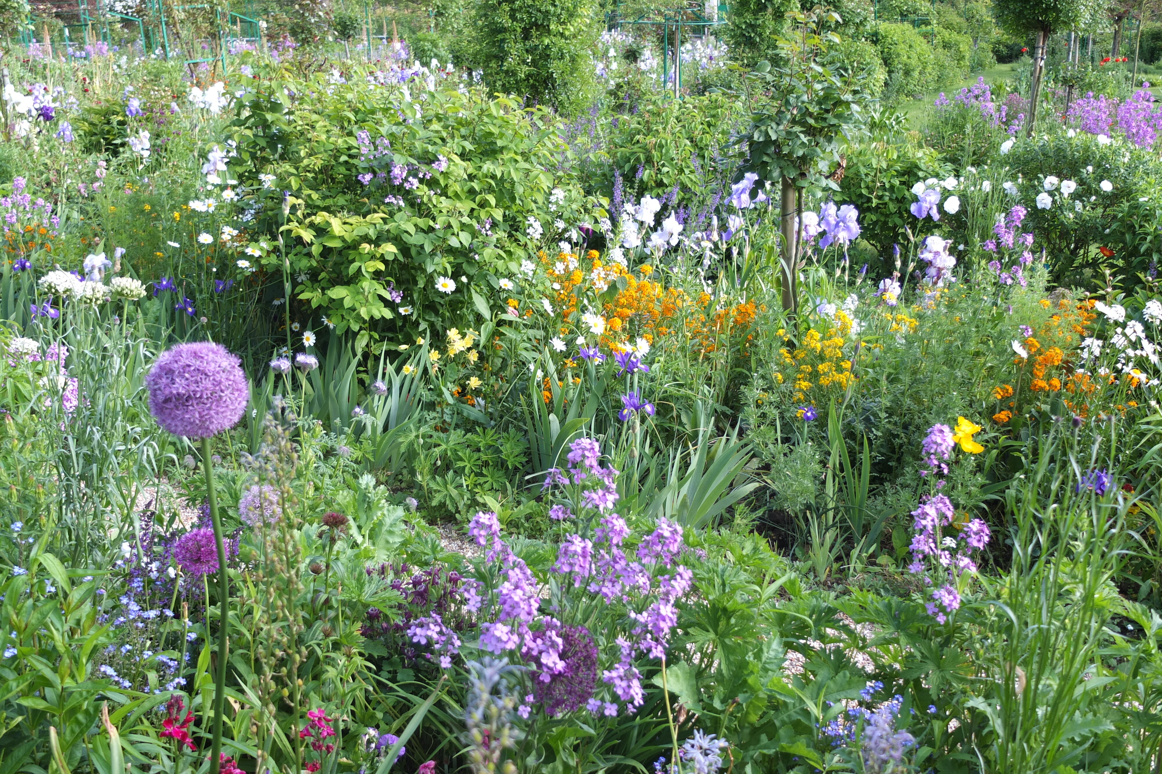 Picture France Giverny 2013-06 4 - Tours Giverny