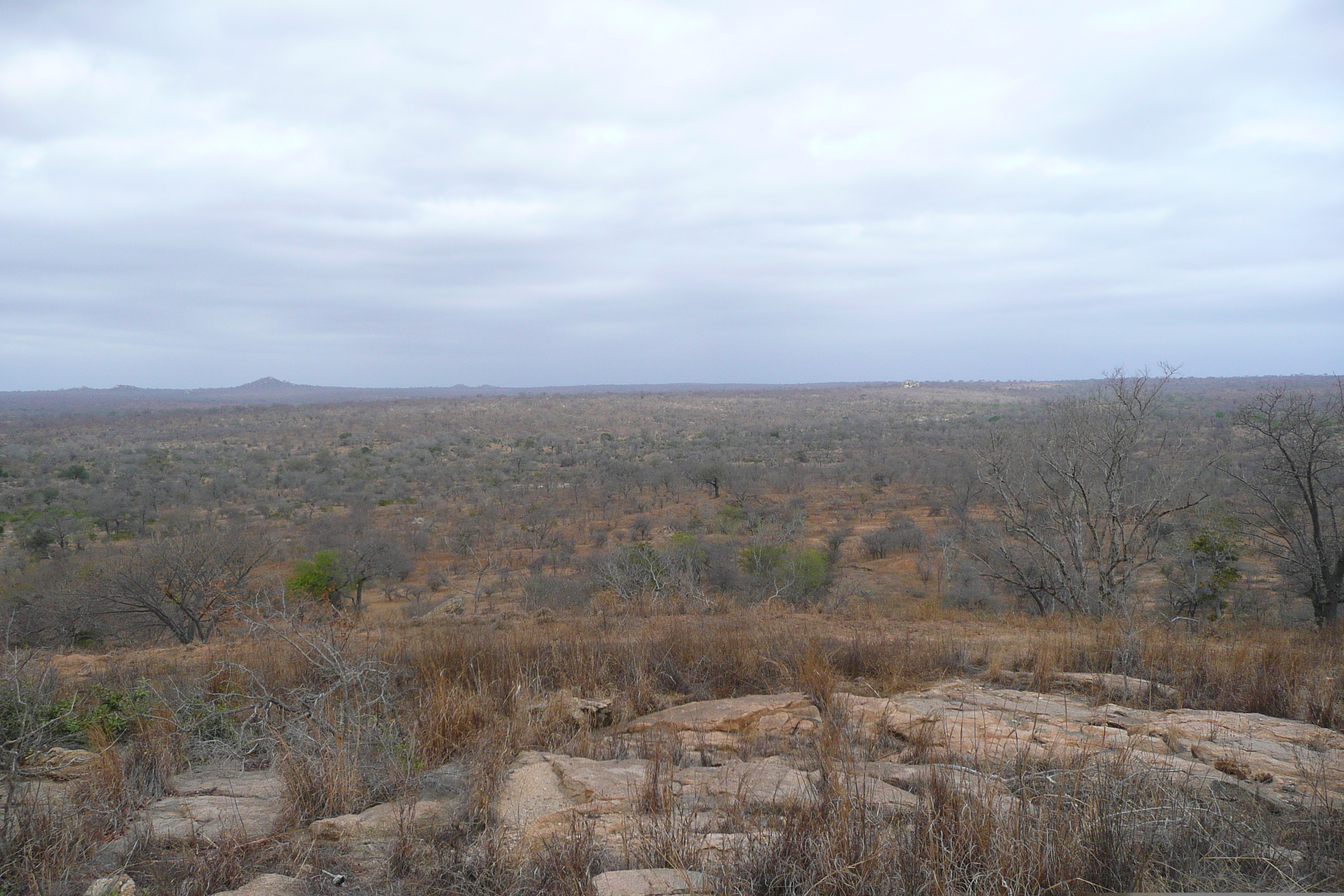 Picture South Africa Kruger National Park 2008-09 178 - Tours Kruger National Park