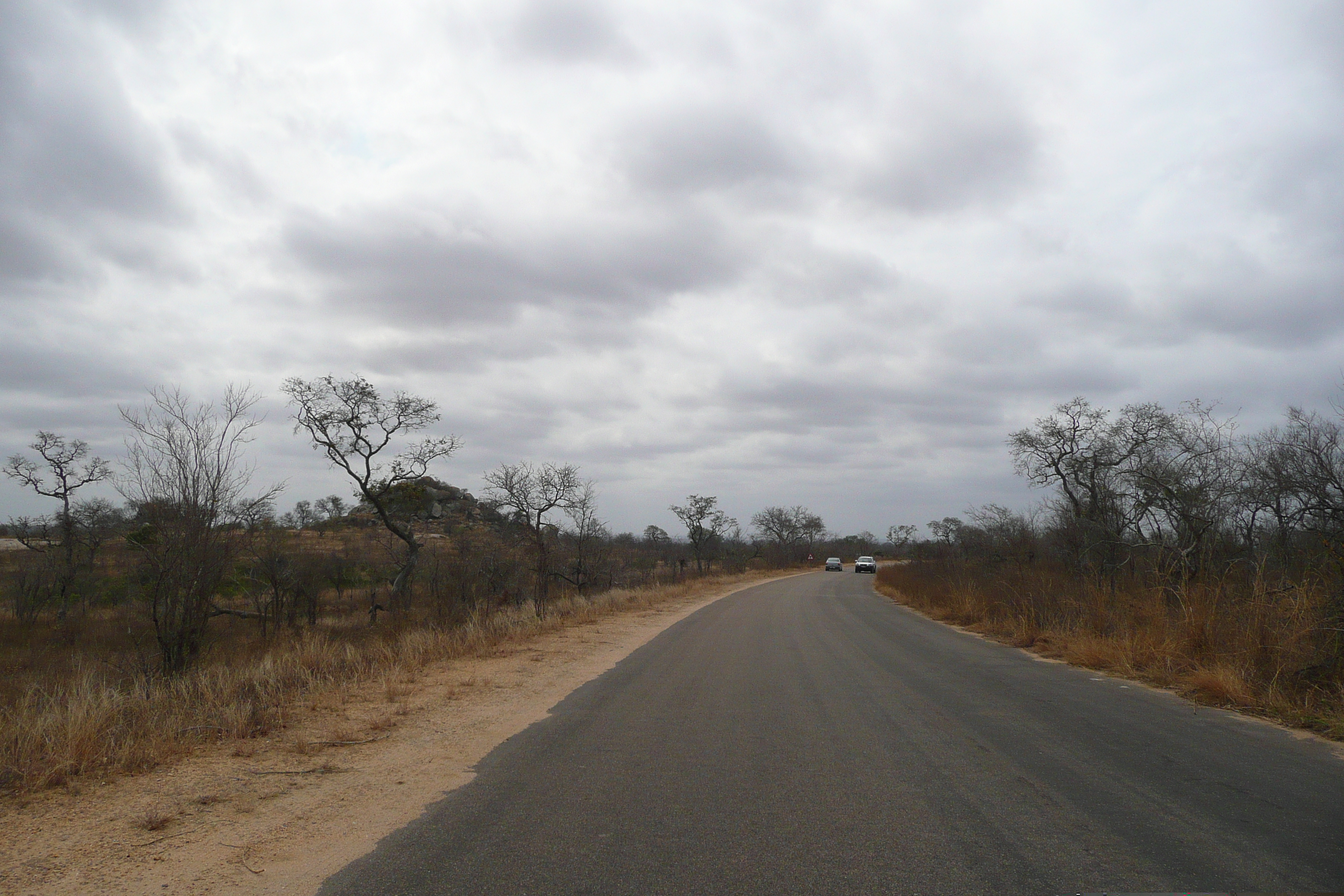 Picture South Africa Kruger National Park 2008-09 194 - Tour Kruger National Park