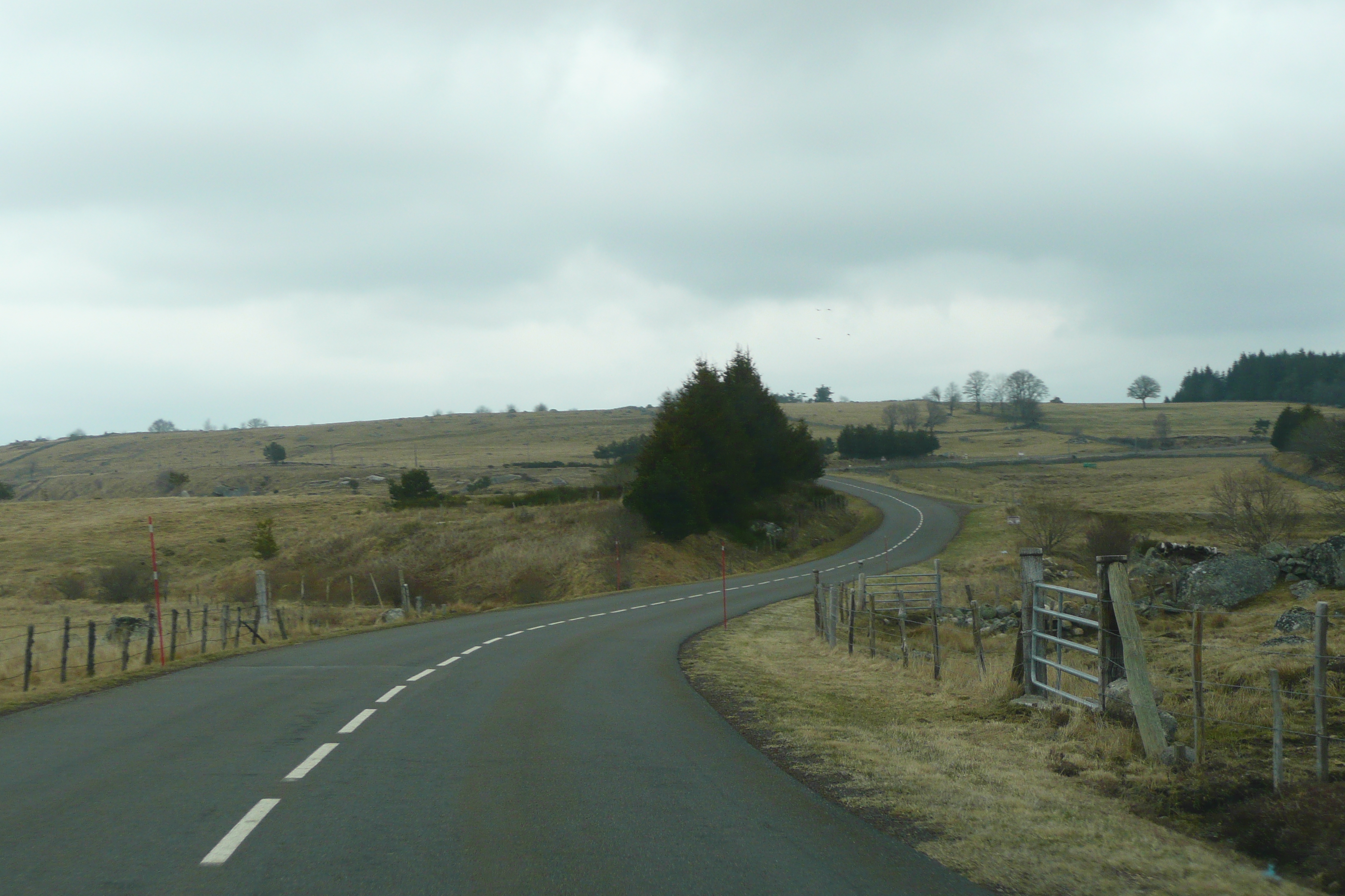 Picture France L'Aubrac 2008-04 69 - Tour L'Aubrac