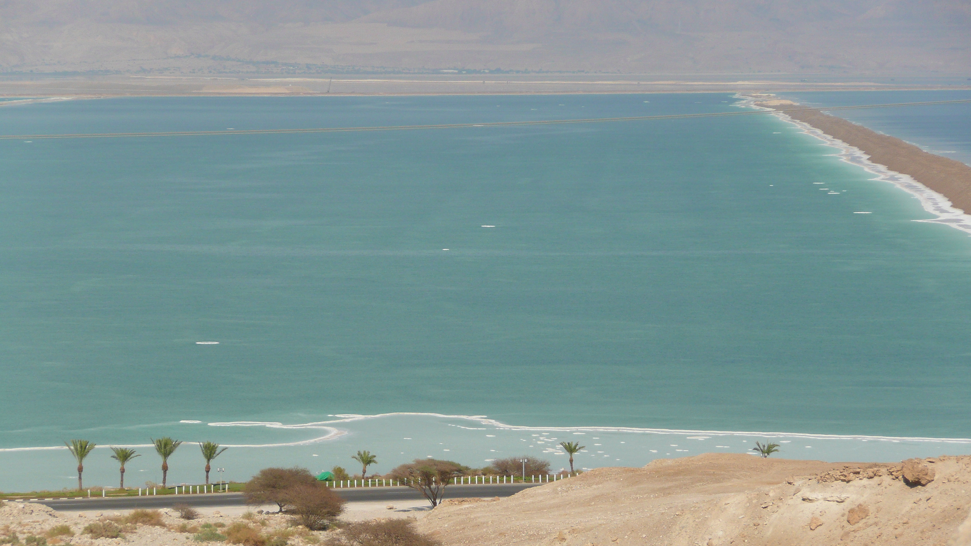 Picture Israel Boqeq 2007-06 25 - Discovery Boqeq