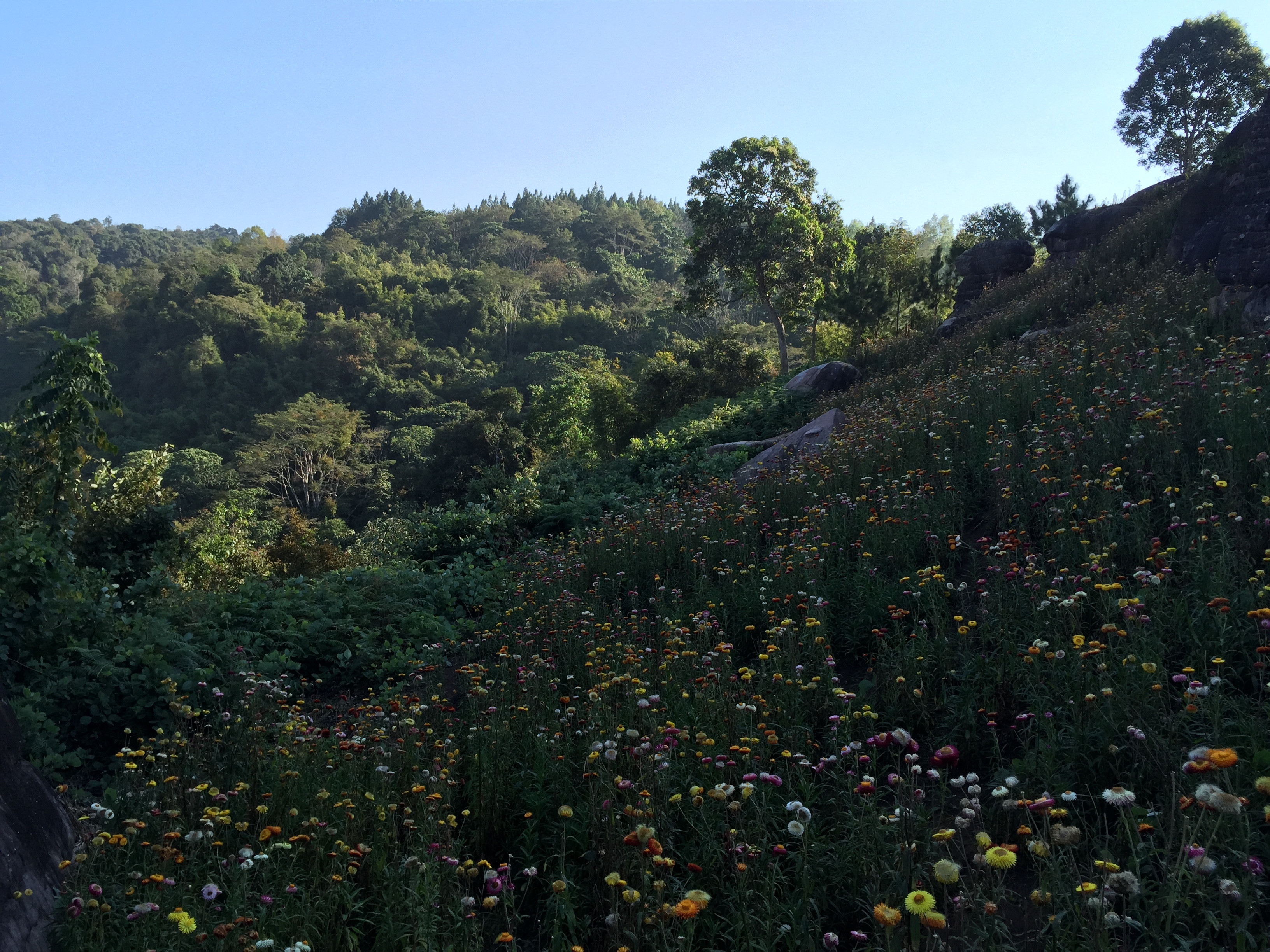 Picture Thailand Phu Hin Rong Kla National Park 2014-12 339 - Recreation Phu Hin Rong Kla National Park