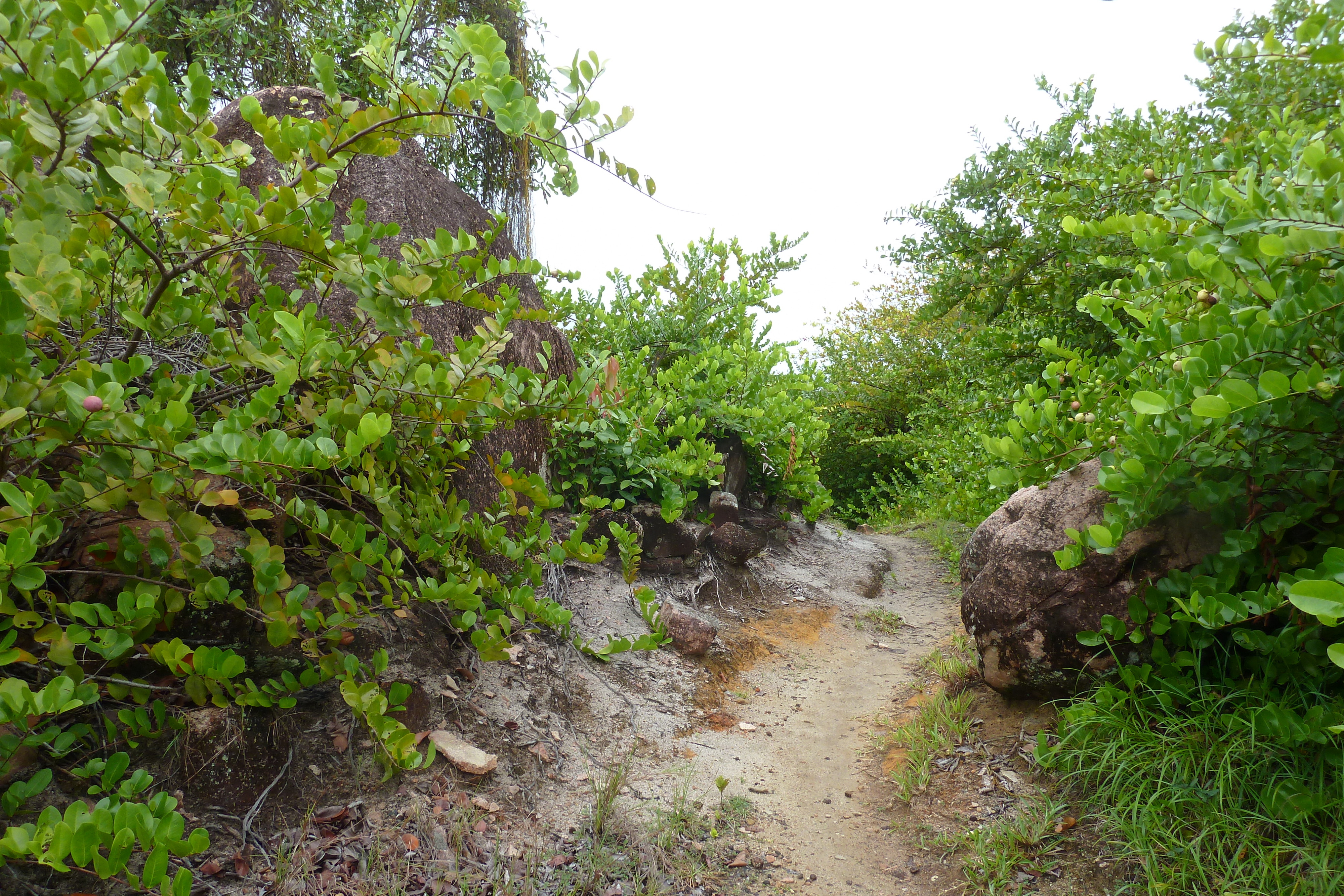 Picture Seychelles Anse Lazio 2011-10 33 - Discovery Anse Lazio