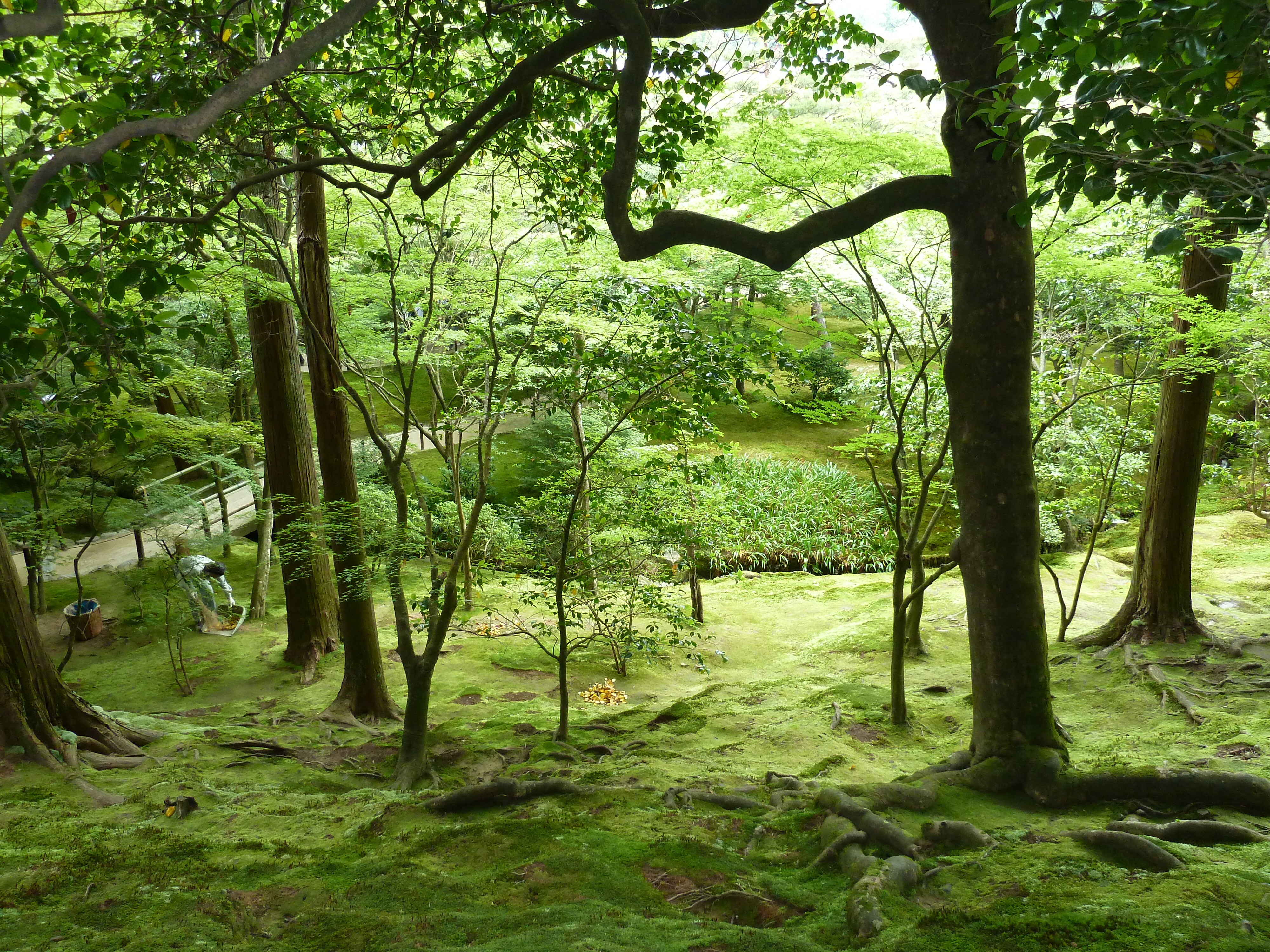 Picture Japan Kyoto Ginkakuji Temple(Silver Pavilion) 2010-06 82 - Center Ginkakuji Temple(Silver Pavilion)