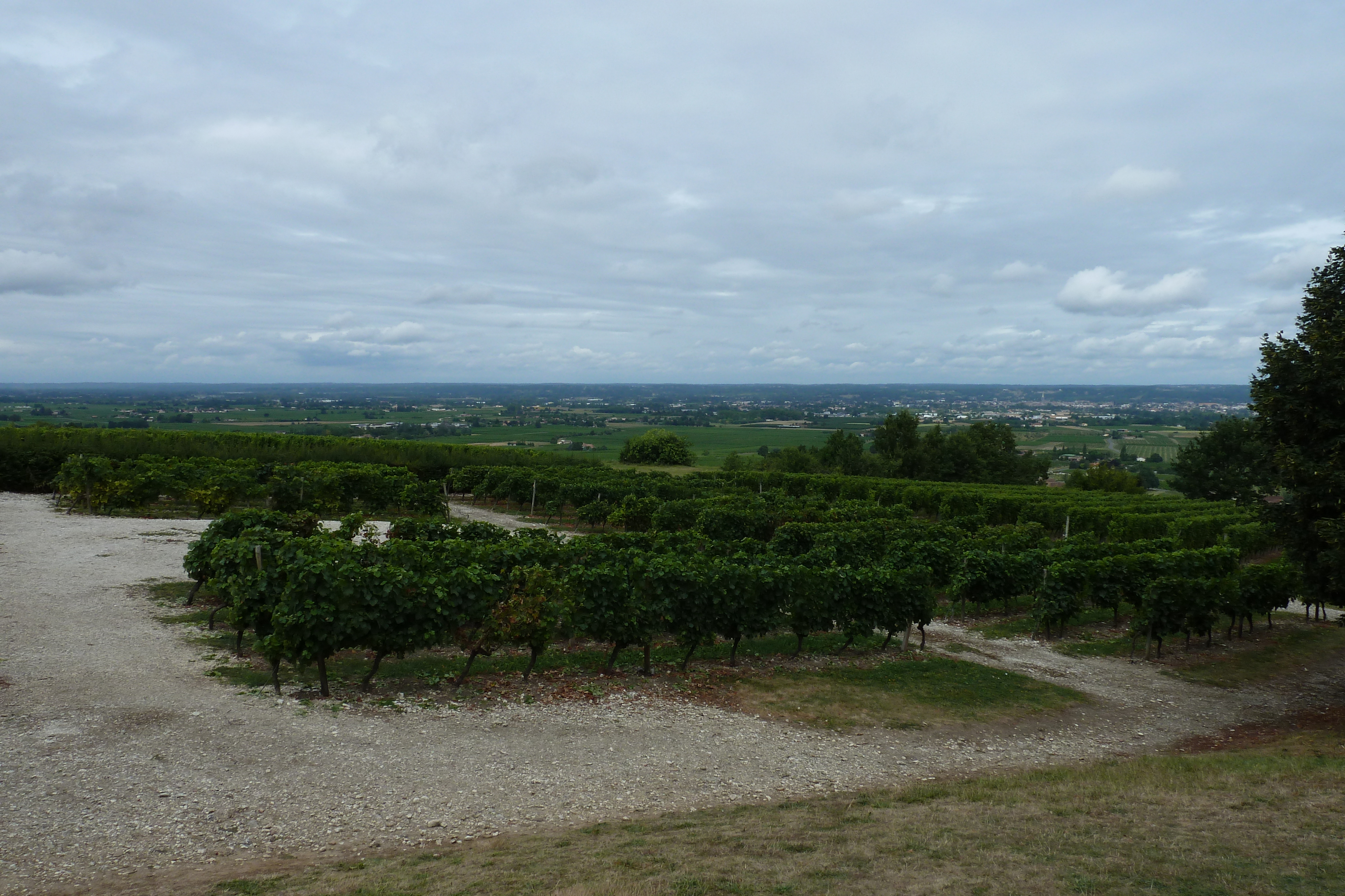 Picture France Monbazillac 2010-08 113 - Discovery Monbazillac