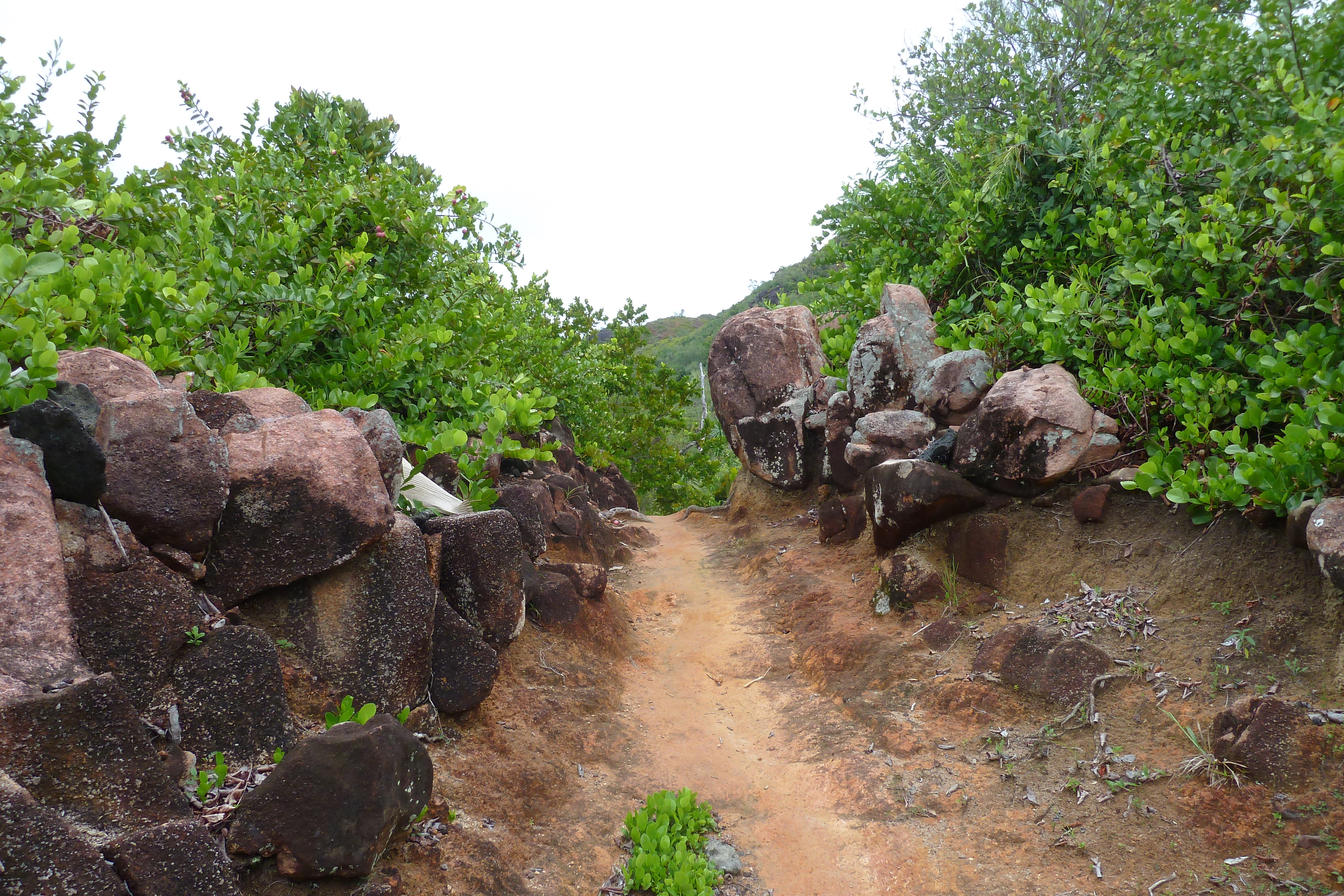 Picture Seychelles Anse Lazio 2011-10 98 - Tour Anse Lazio