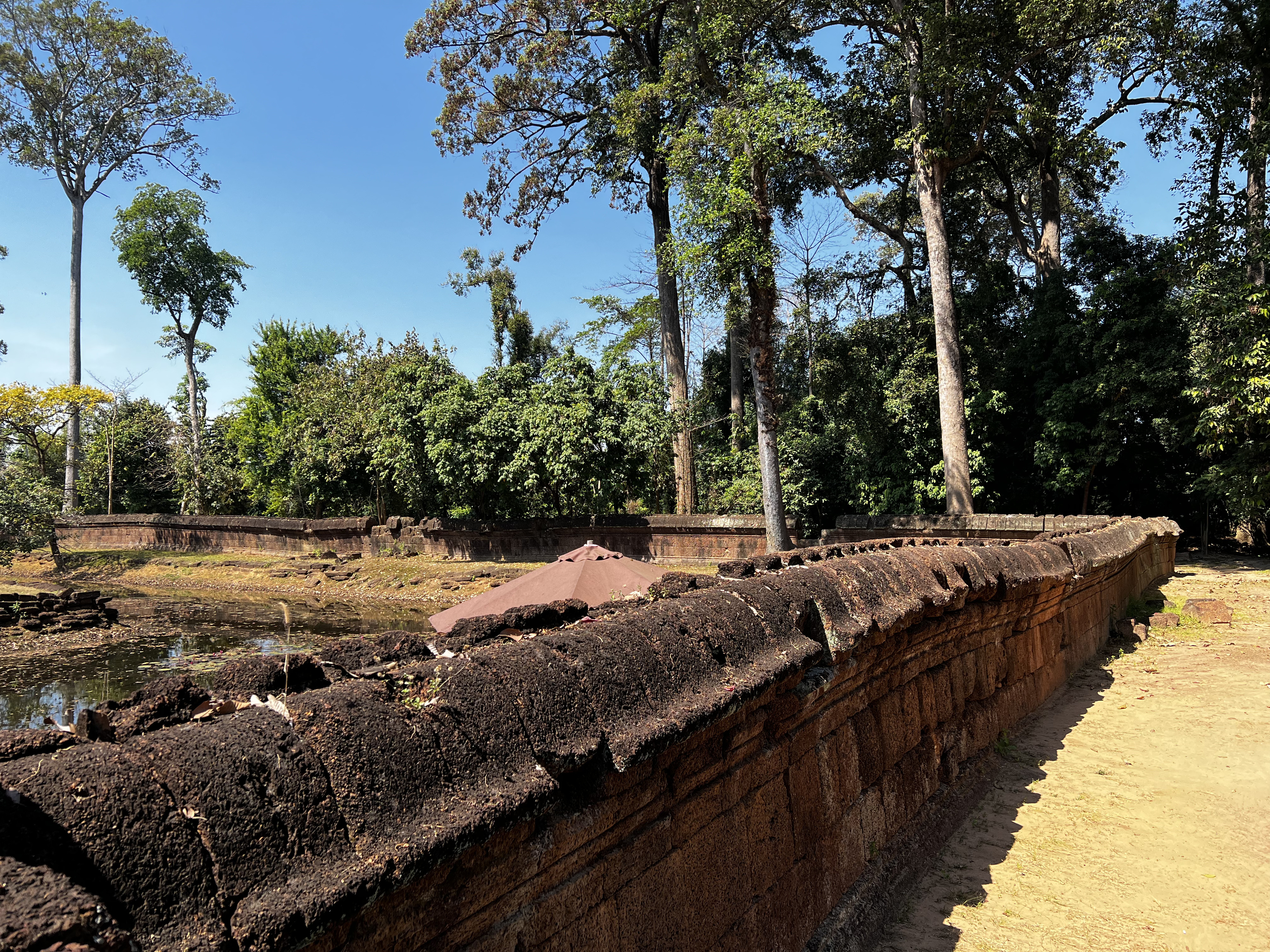 Picture Cambodia Siem Reap ⁨Banteay Srei⁩ 2023-01 0 - Discovery ⁨Banteay Srei⁩