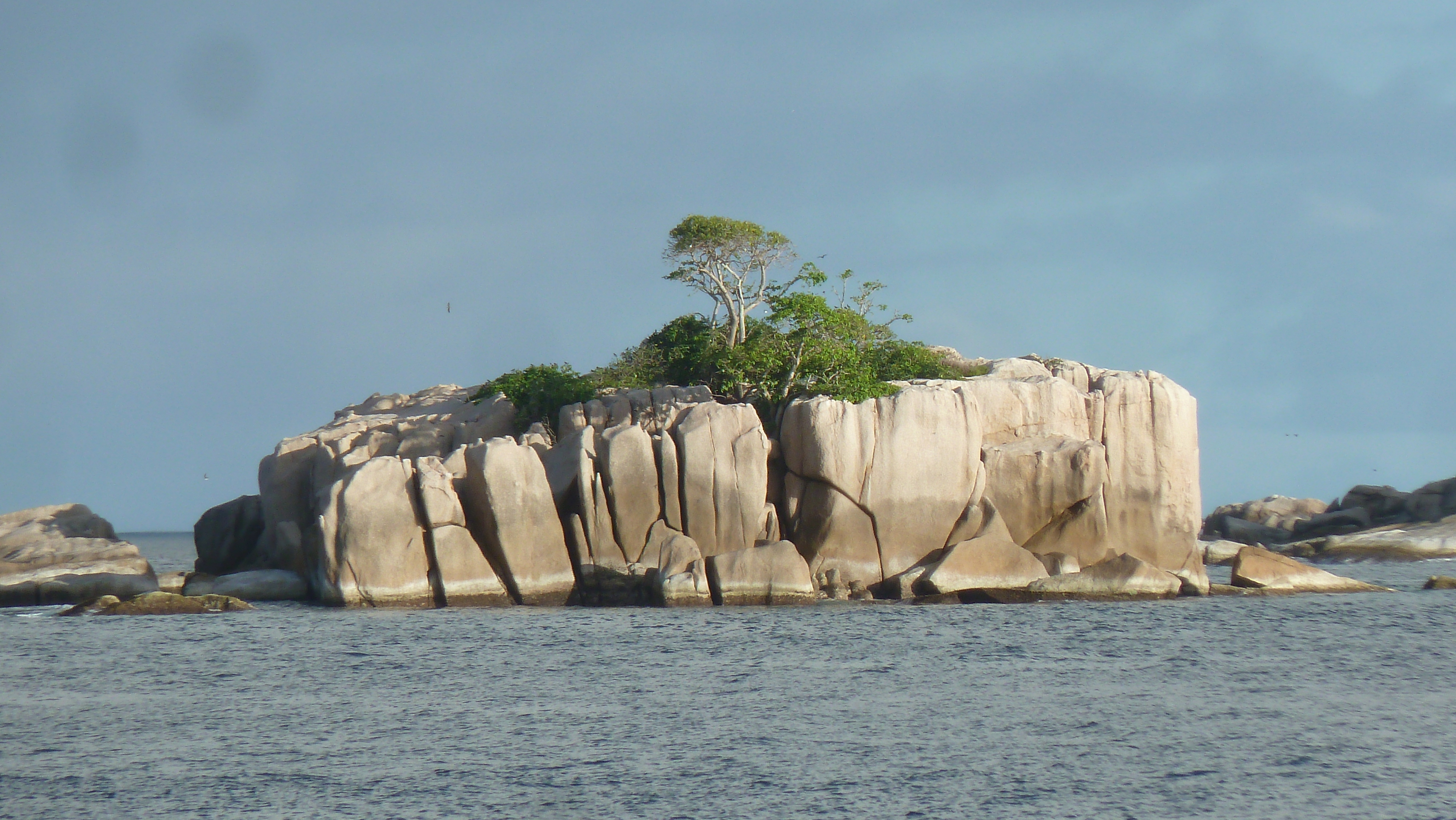 Picture Seychelles Coco Island 2011-10 48 - Discovery Coco Island