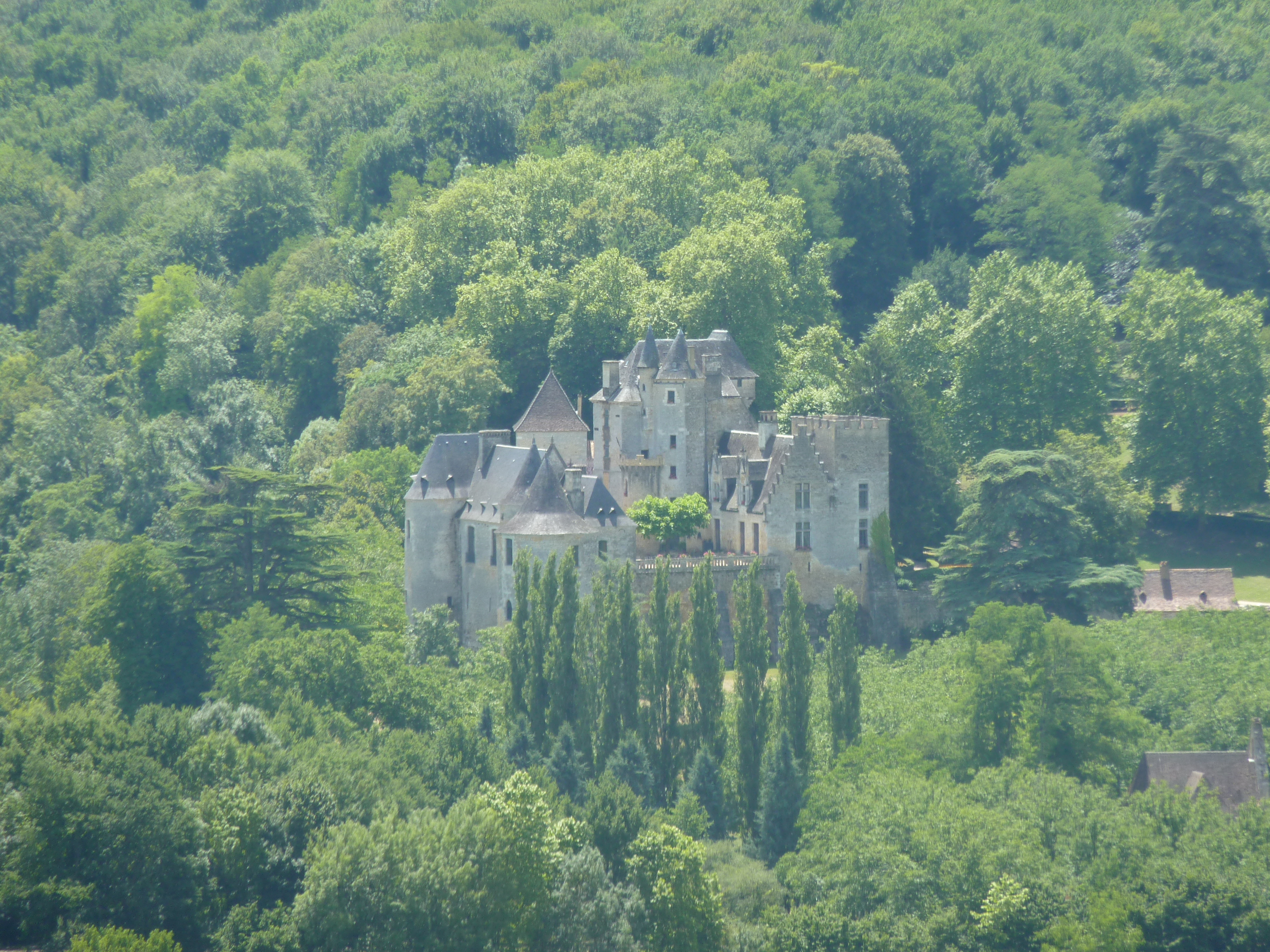 Picture France Beynac Castle 2009-07 94 - Tours Beynac Castle