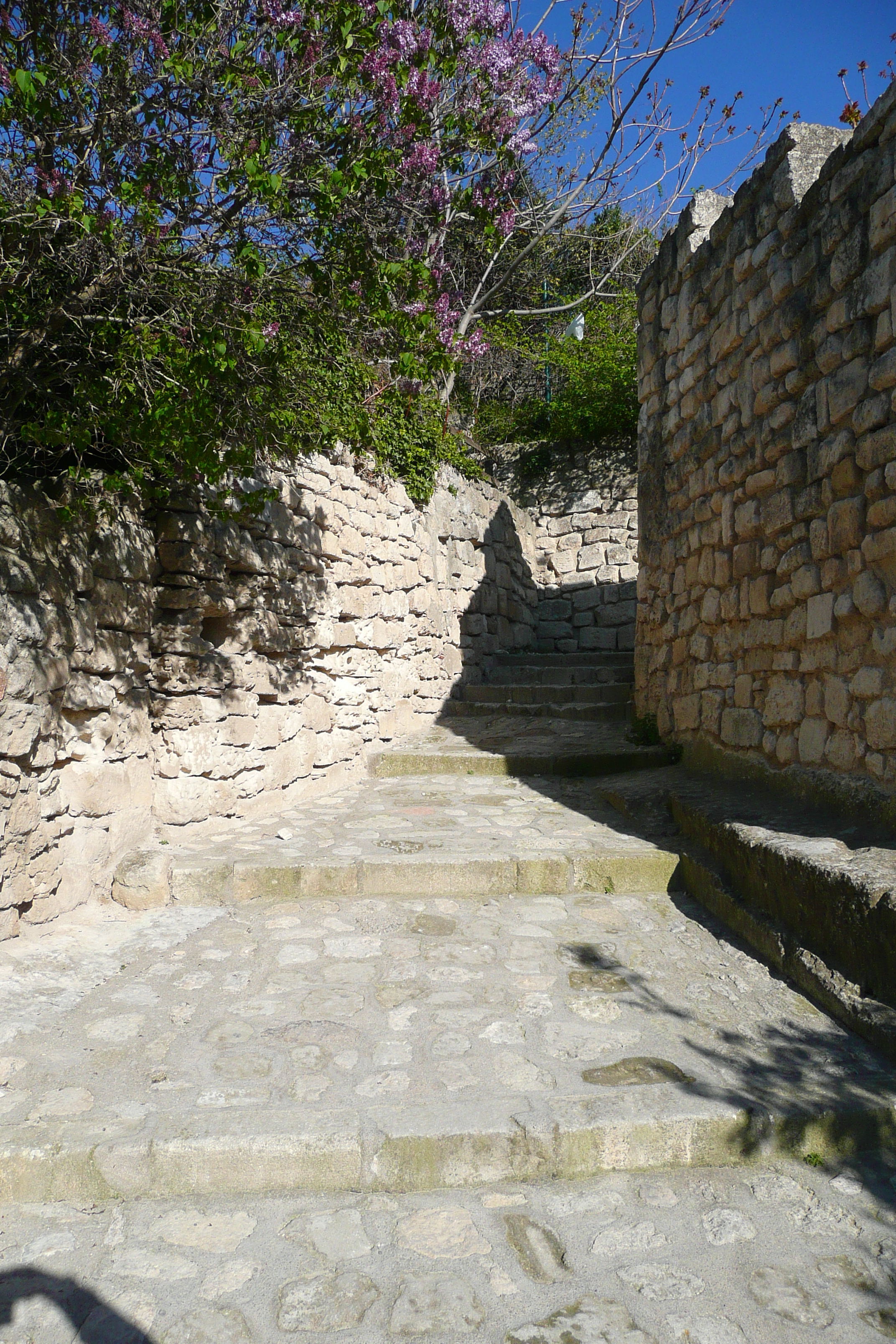 Picture France Baux de Provence Baux de Provence Village 2008-04 5 - Journey Baux de Provence Village