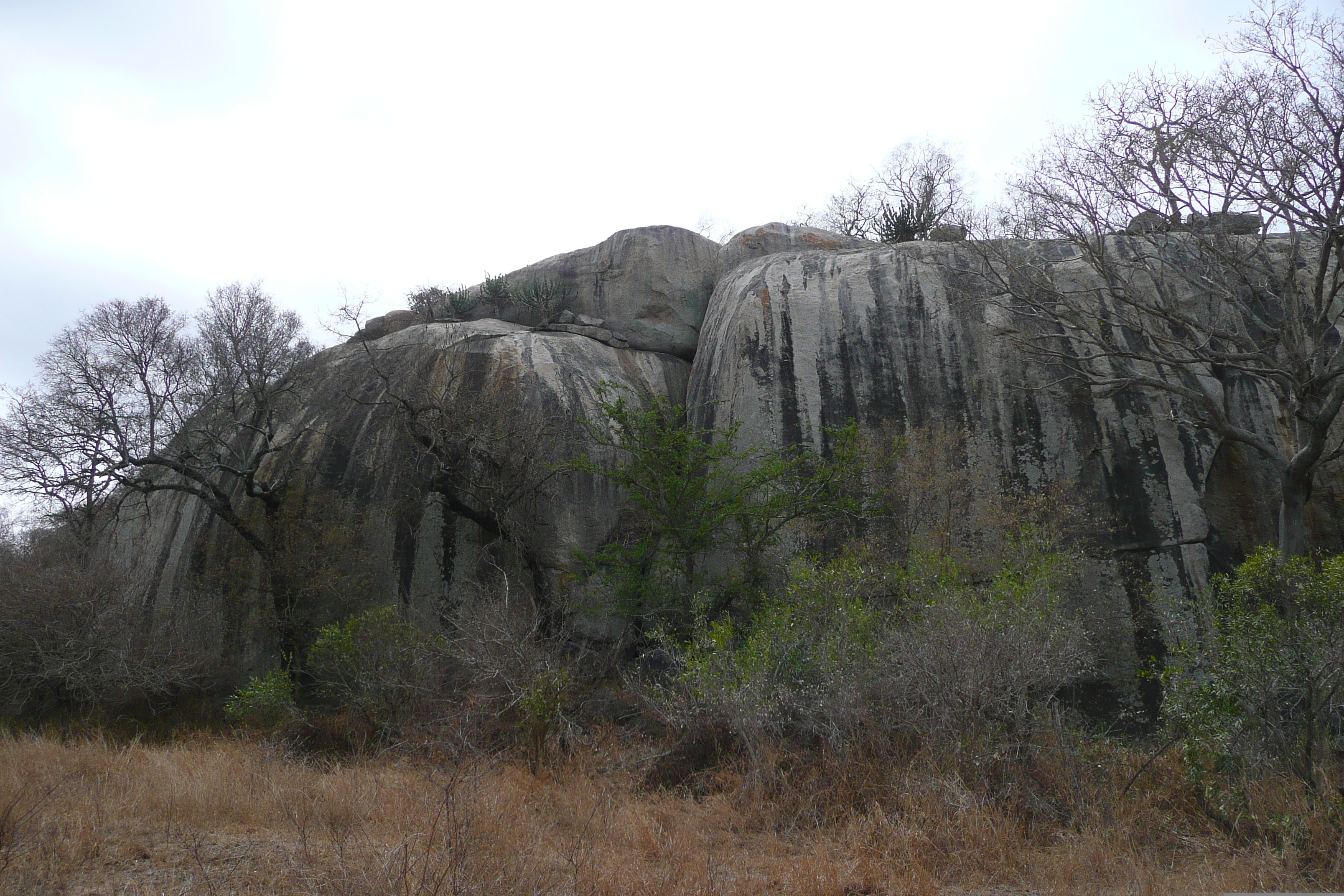 Picture South Africa Kruger National Park 2008-09 19 - Center Kruger National Park