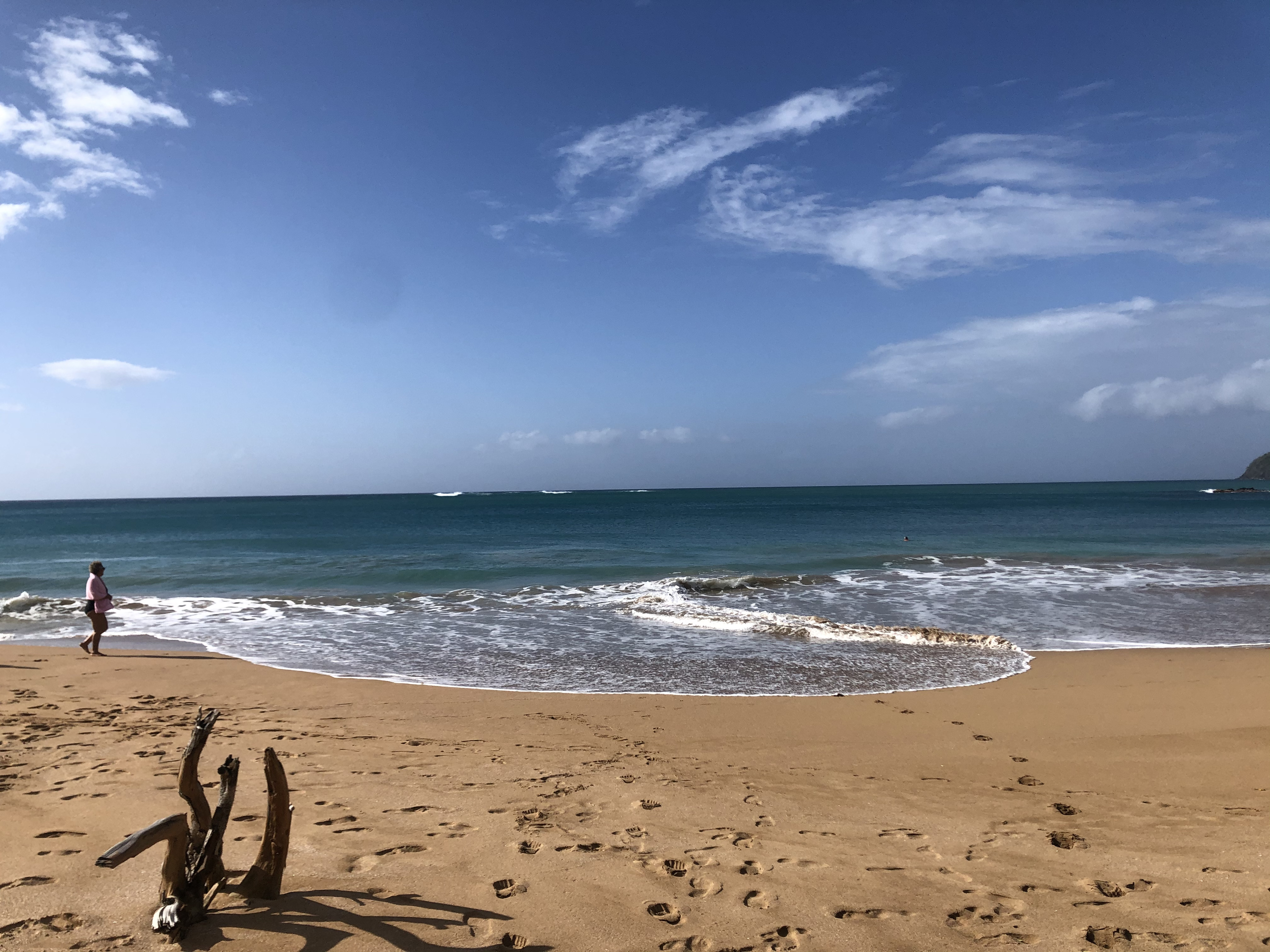 Picture Guadeloupe La Perle Beach 2021-02 95 - Journey La Perle Beach