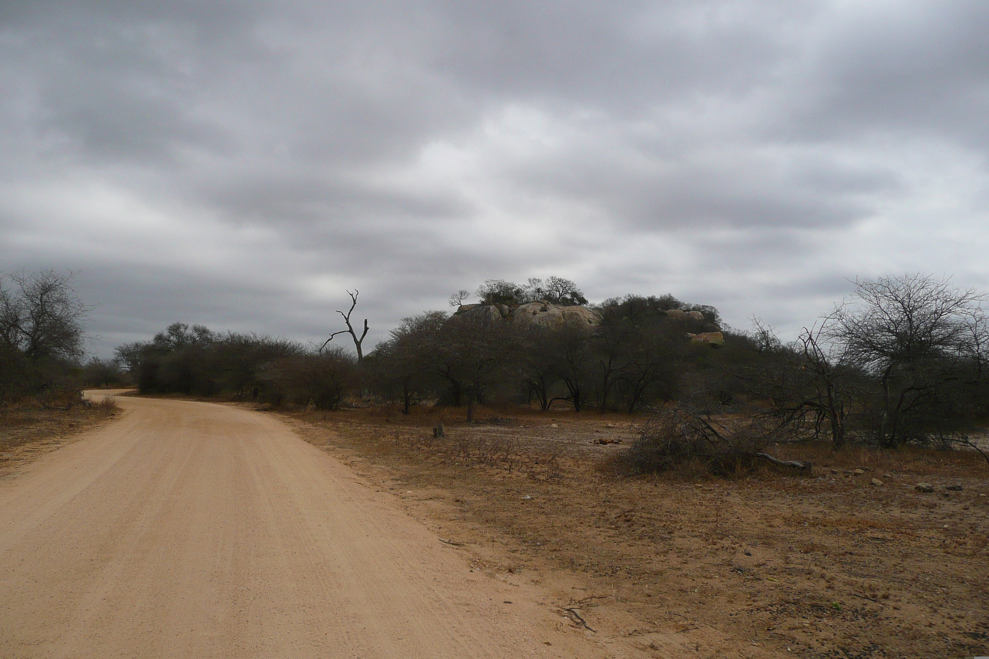 Picture South Africa Kruger National Park 2008-09 12 - Tour Kruger National Park