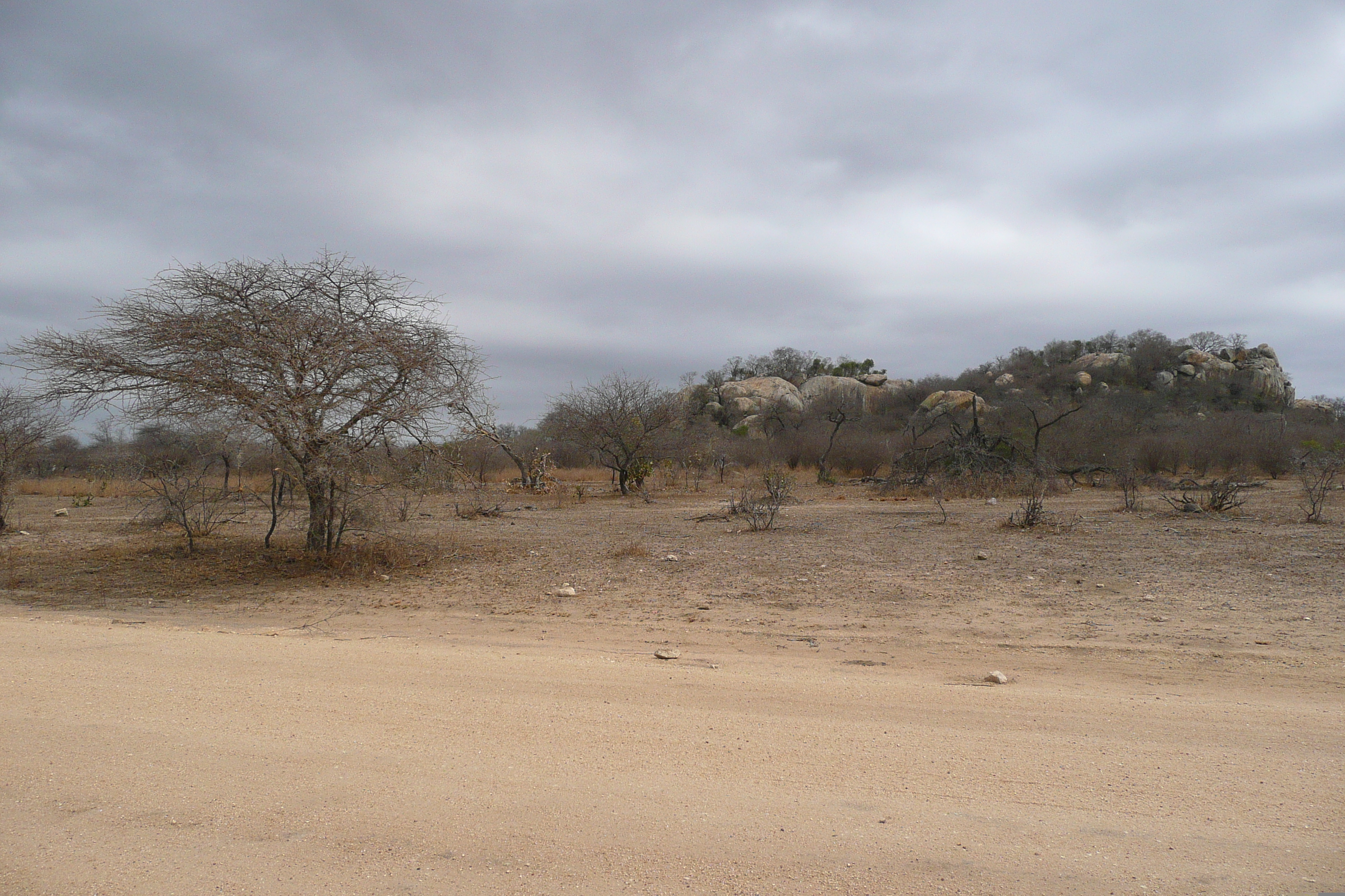 Picture South Africa Kruger National Park 2008-09 1 - Tours Kruger National Park