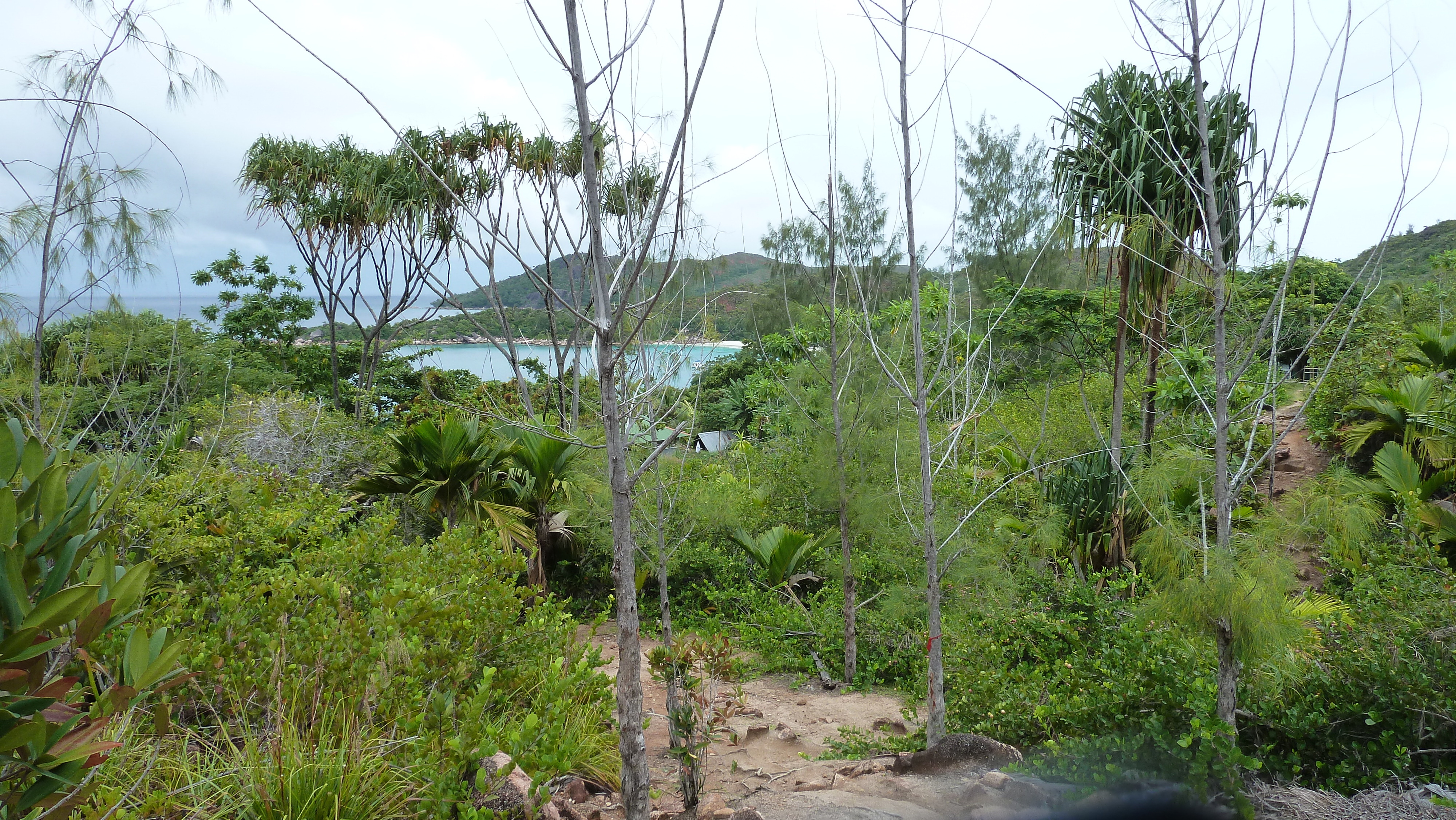 Picture Seychelles Anse Lazio 2011-10 14 - Tour Anse Lazio