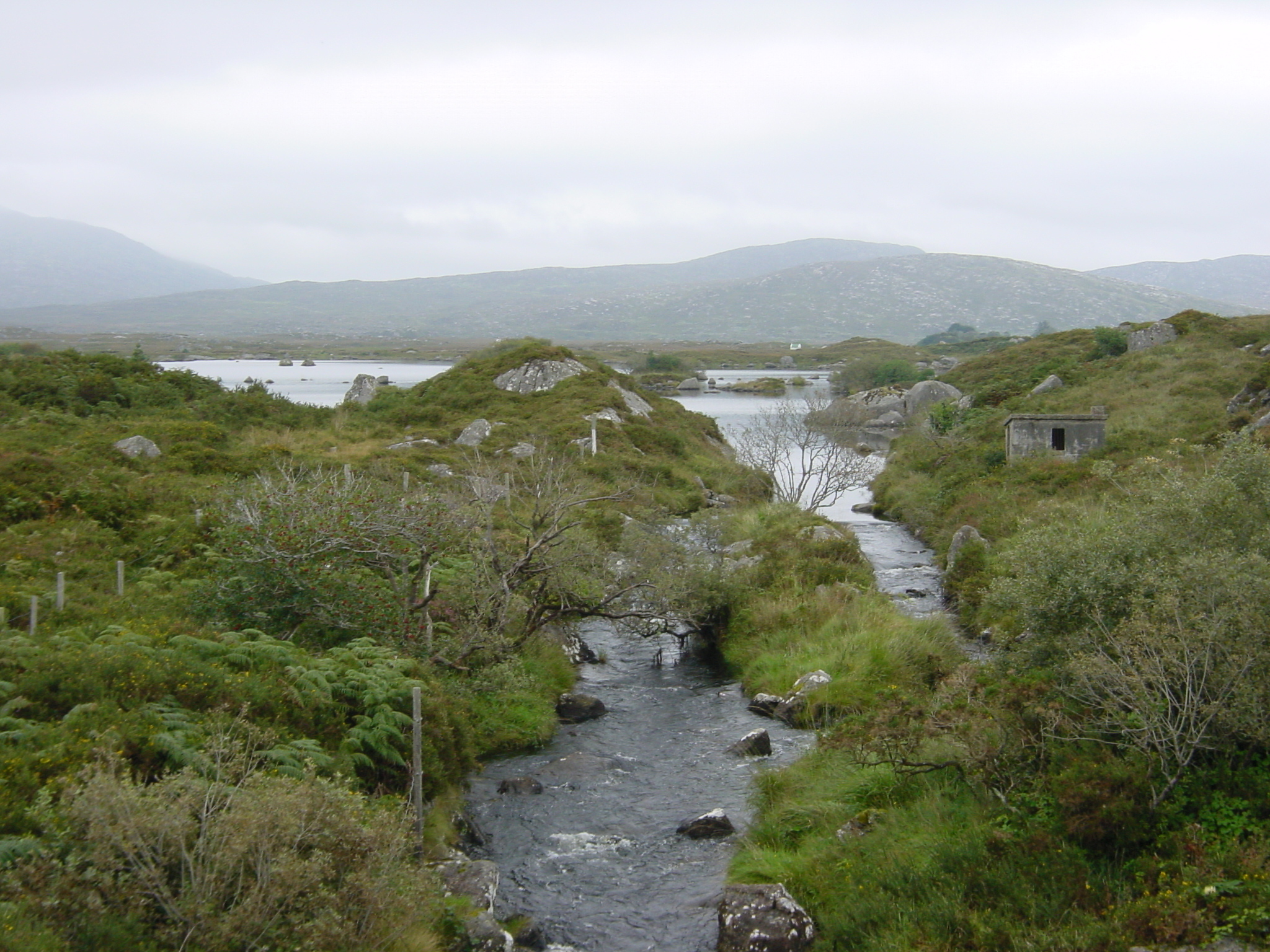 Picture Ireland Connemara 2003-09 12 - Recreation Connemara