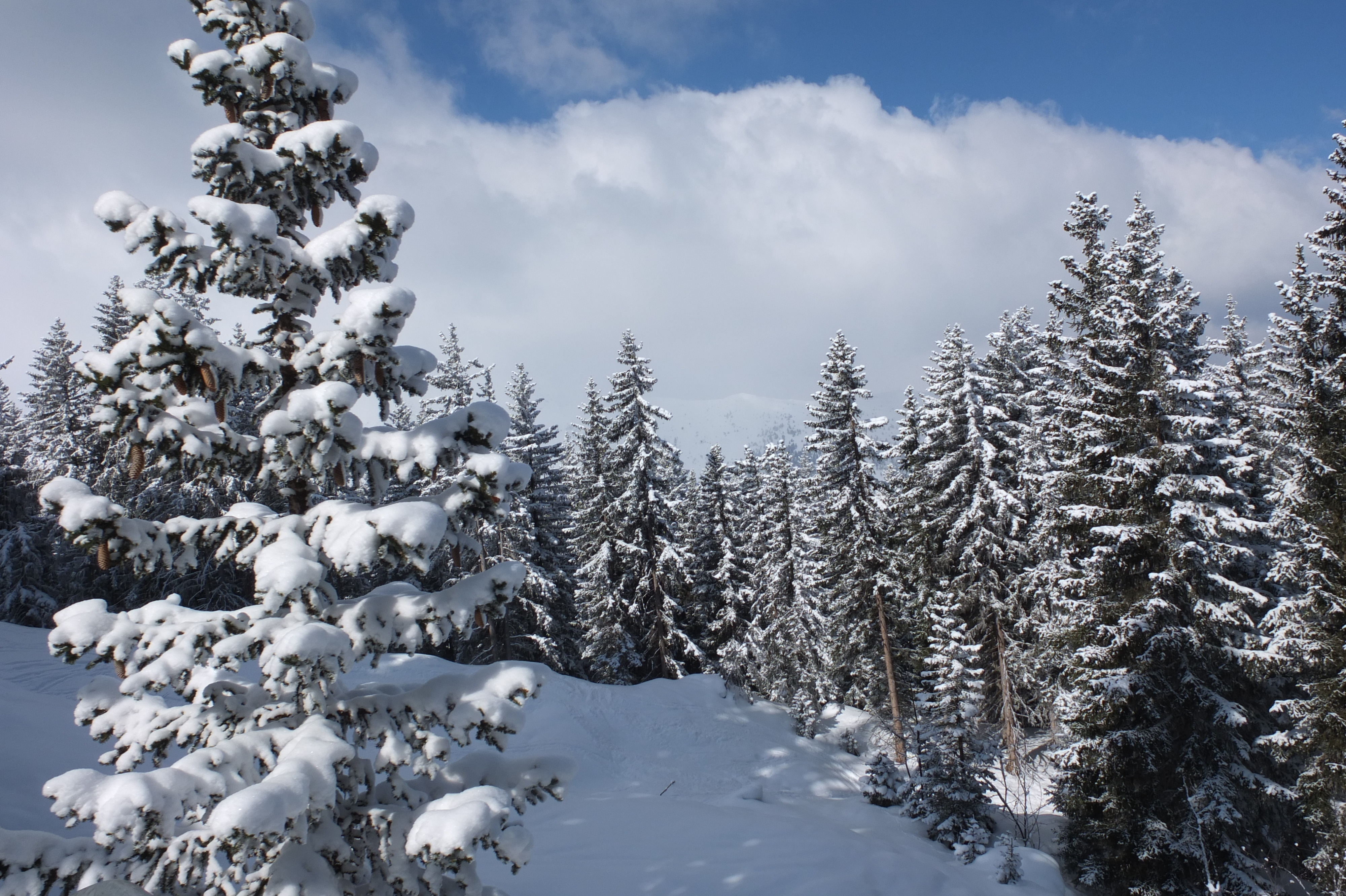 Picture France Les 3 Vallees 2013-03 129 - Journey Les 3 Vallees