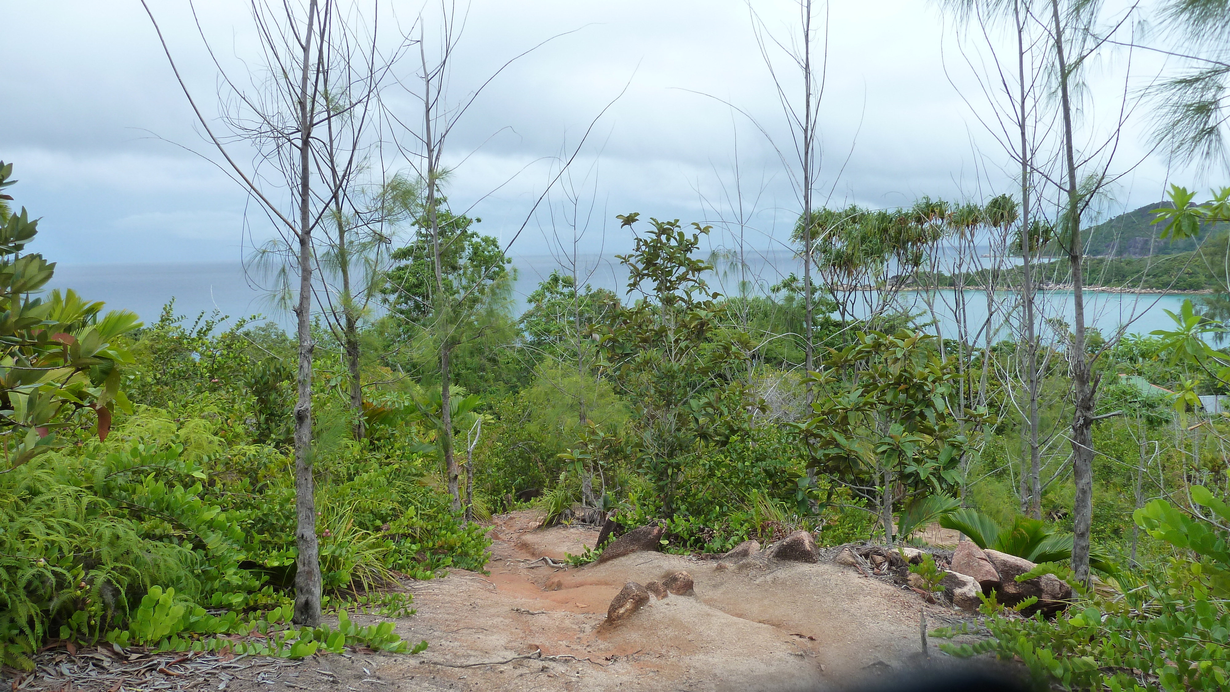 Picture Seychelles Anse Lazio 2011-10 137 - Center Anse Lazio