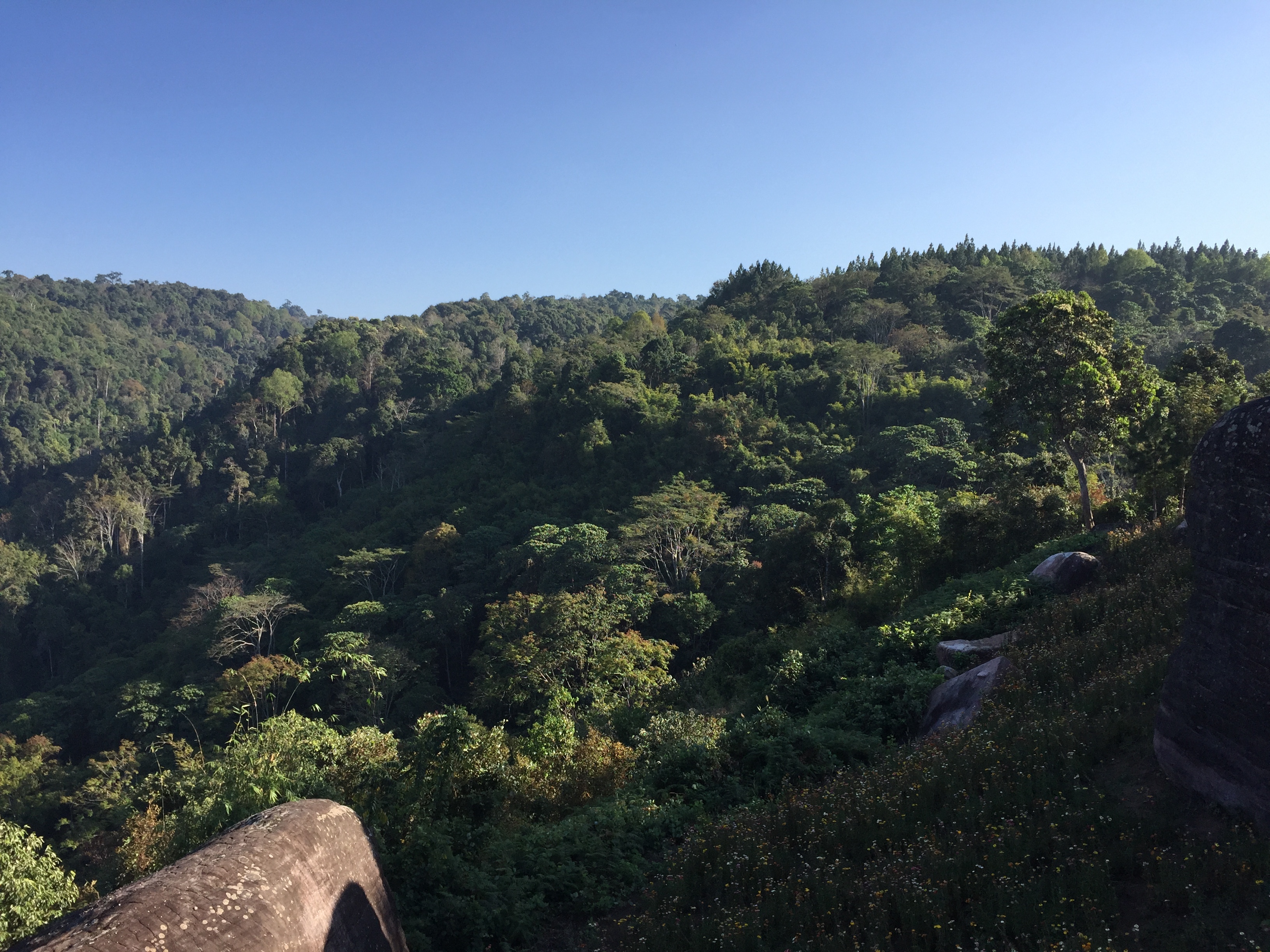 Picture Thailand Phu Hin Rong Kla National Park 2014-12 21 - Tour Phu Hin Rong Kla National Park