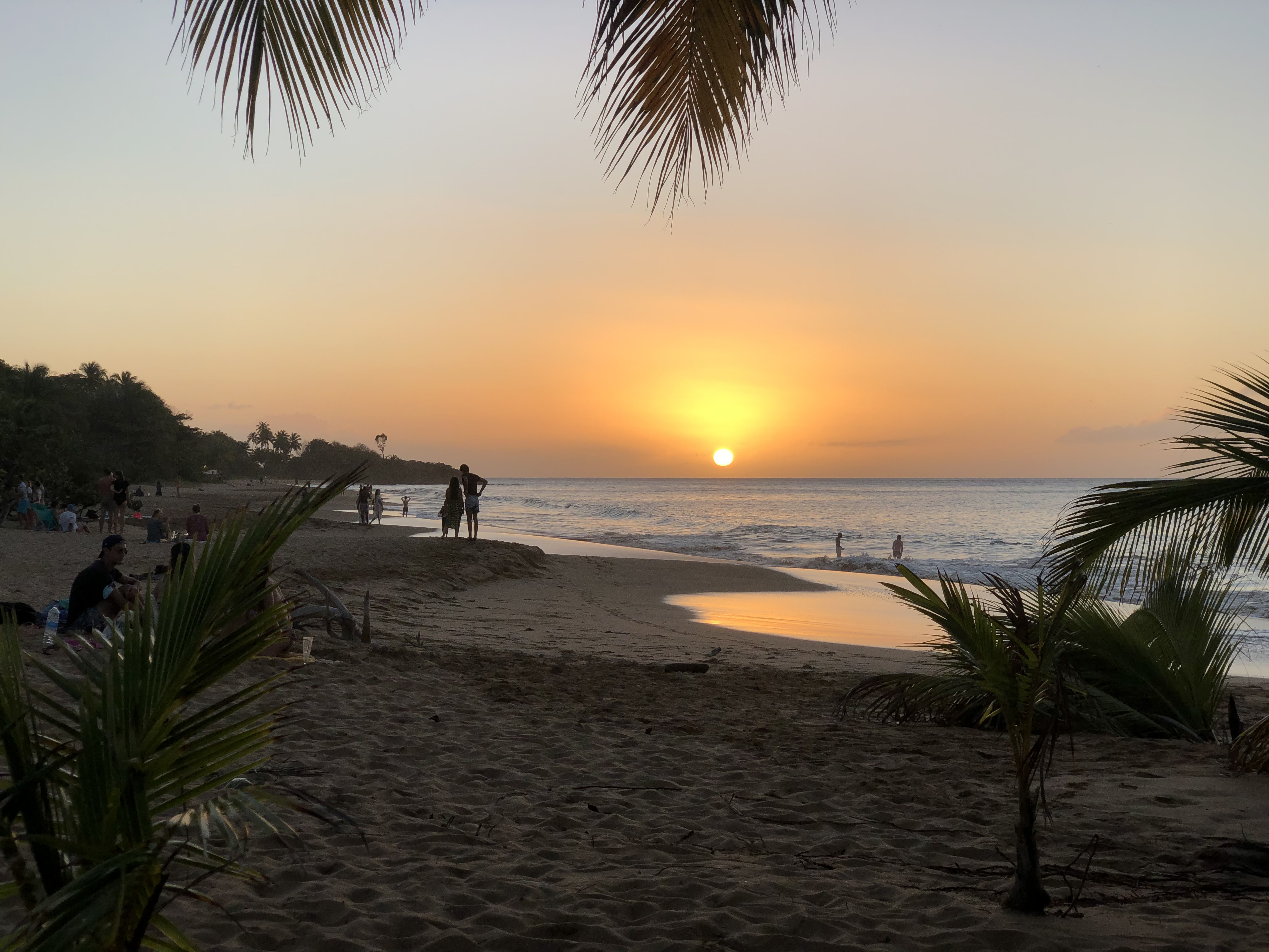 Picture Guadeloupe La Perle Beach 2021-02 57 - Center La Perle Beach