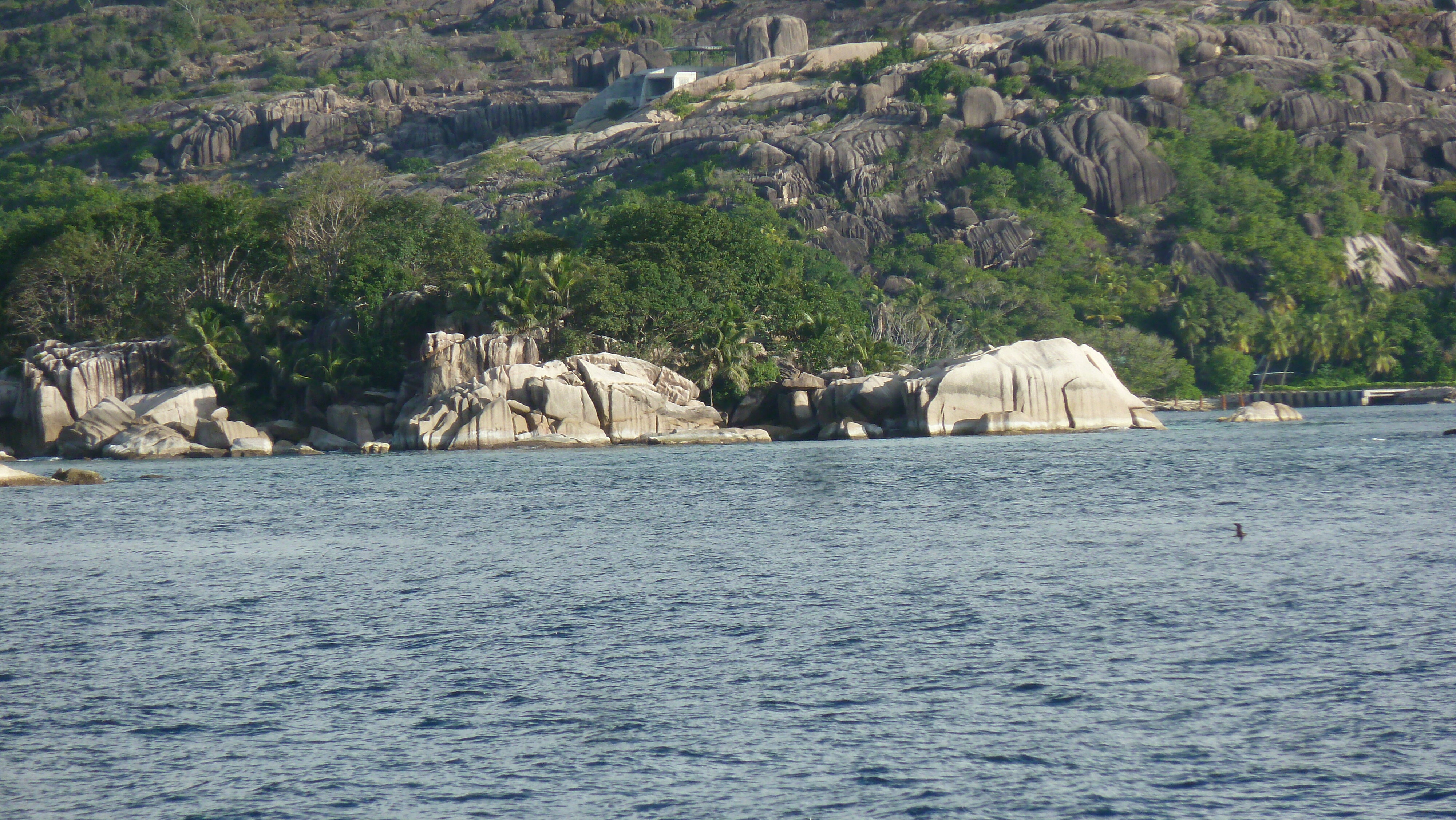 Picture Seychelles Coco Island 2011-10 57 - Discovery Coco Island