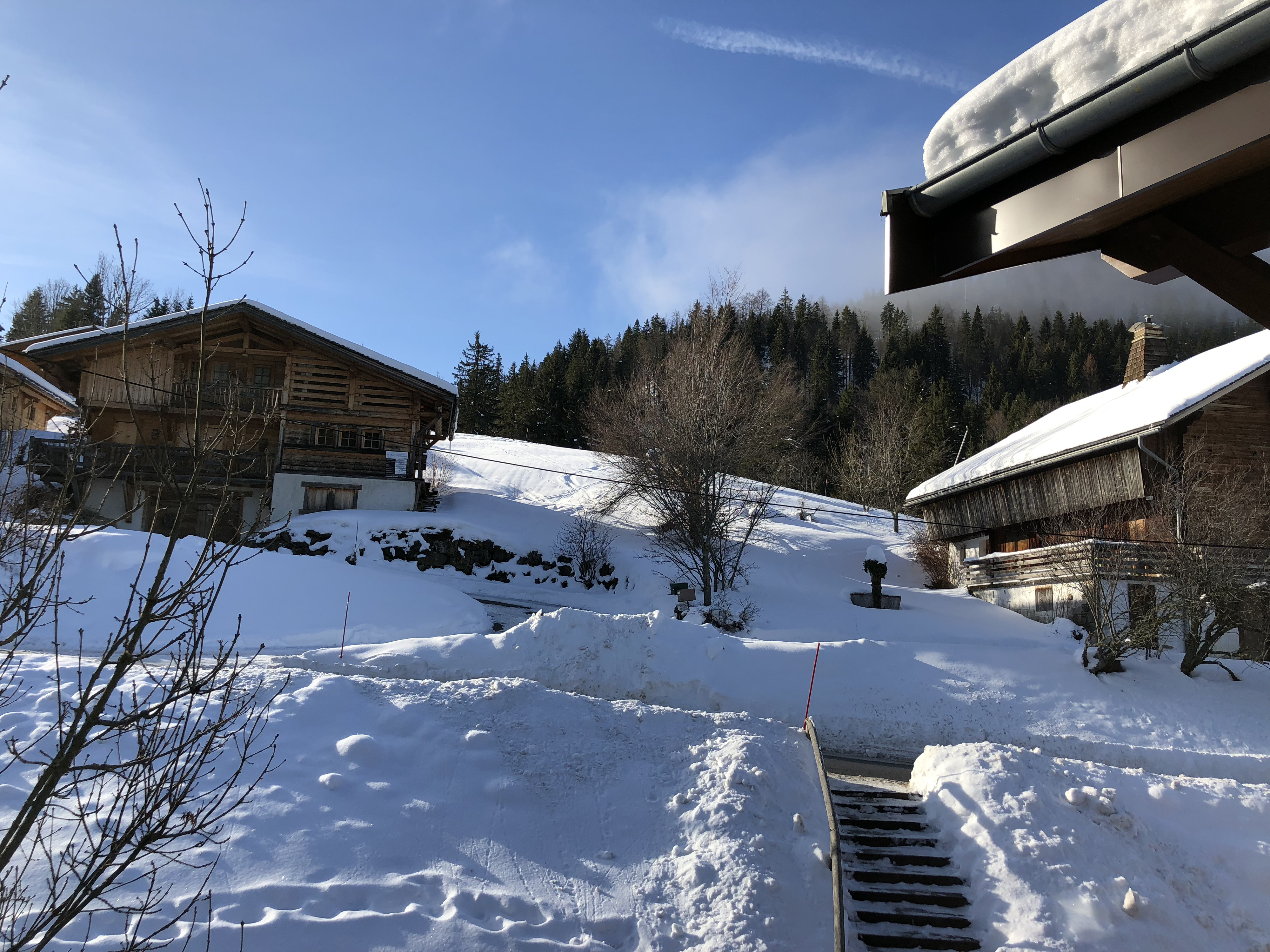 Picture France La Clusaz 2017-12 70 - History La Clusaz