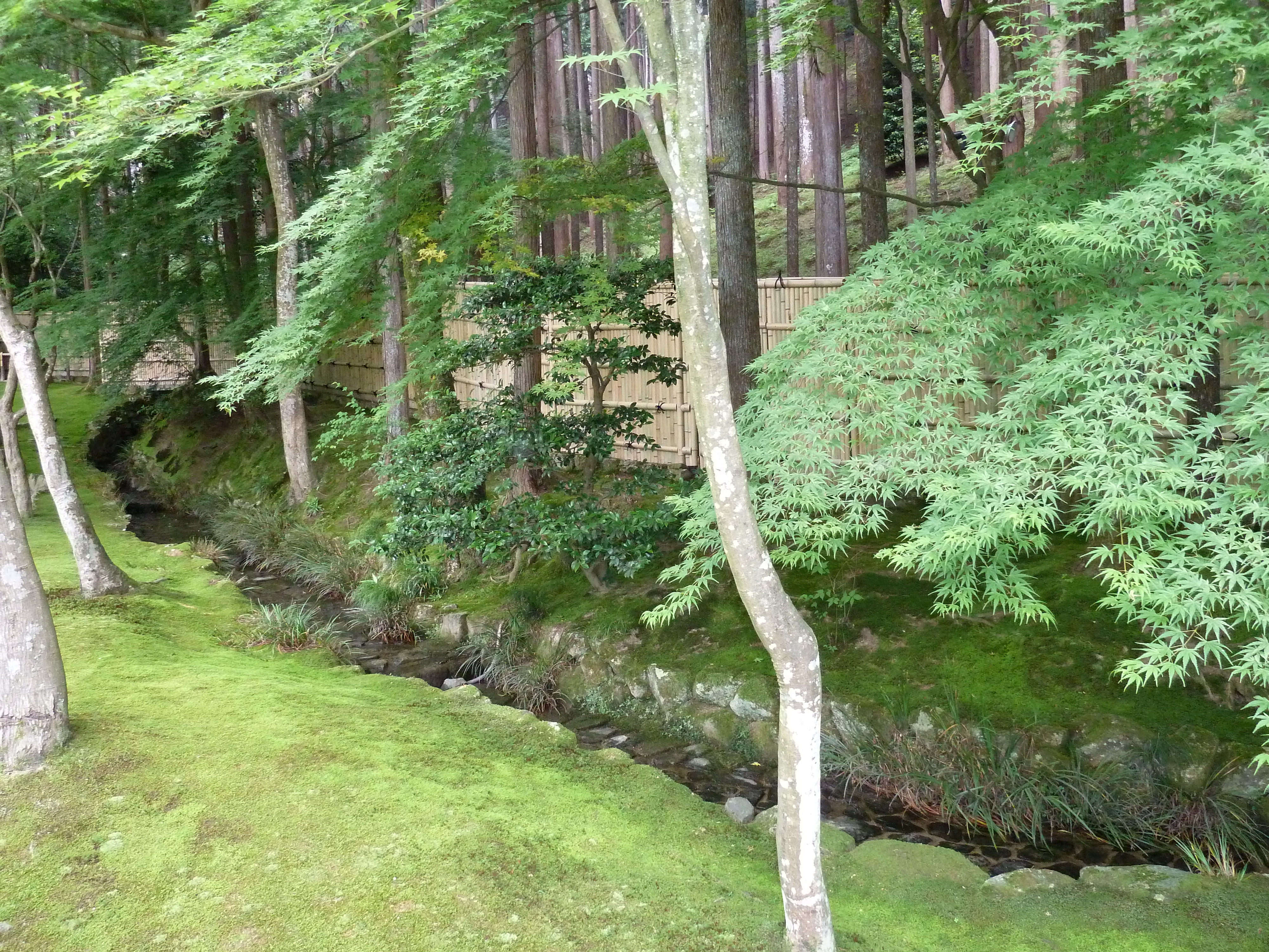 Picture Japan Kyoto Ginkakuji Temple(Silver Pavilion) 2010-06 3 - Around Ginkakuji Temple(Silver Pavilion)