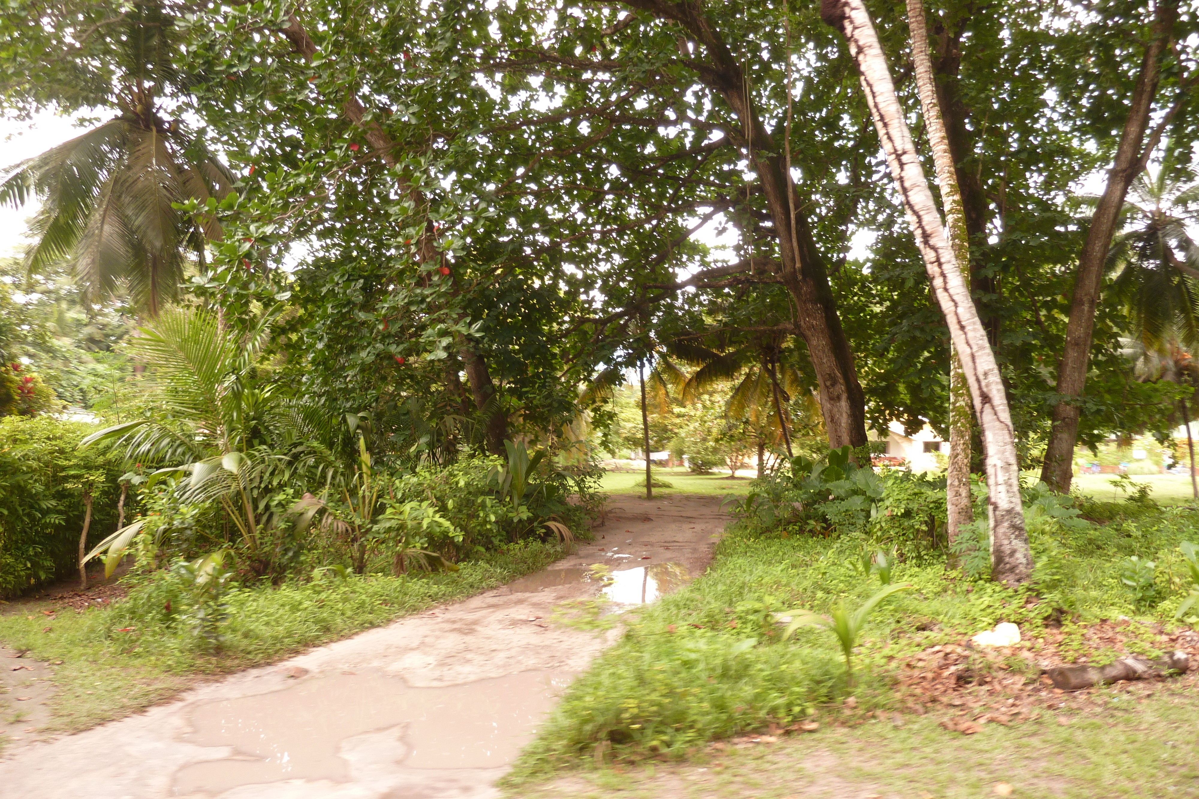 Picture Seychelles La Digue 2011-10 208 - Center La Digue