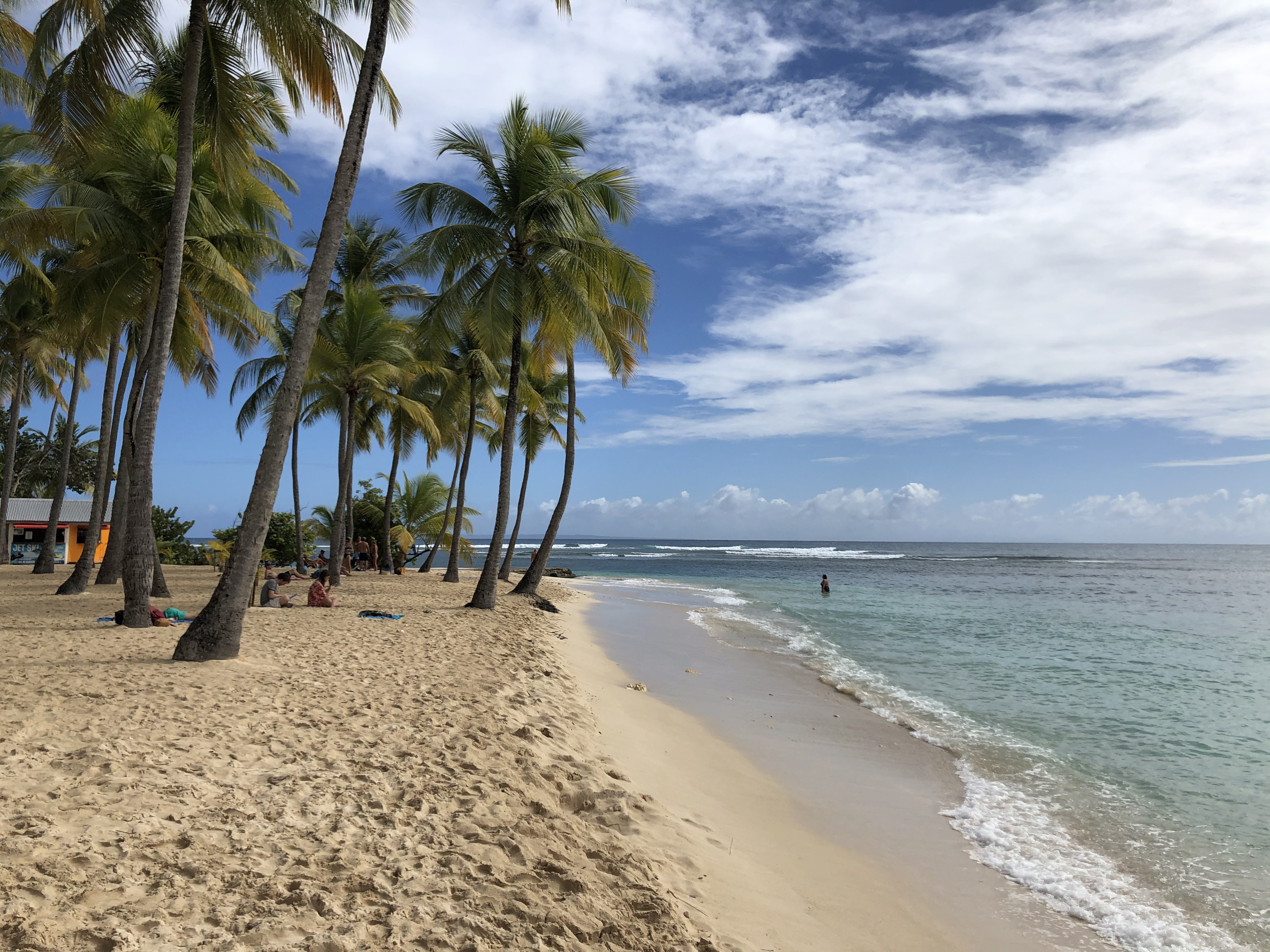 Picture Guadeloupe La Caravelle Beach 2021-02 63 - Tour La Caravelle Beach