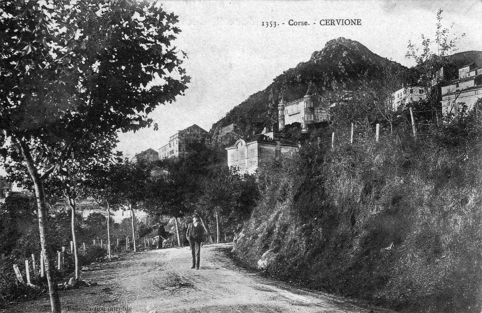 Picture France Corsica Old Postcards 1900-01 174 - Journey Old Postcards