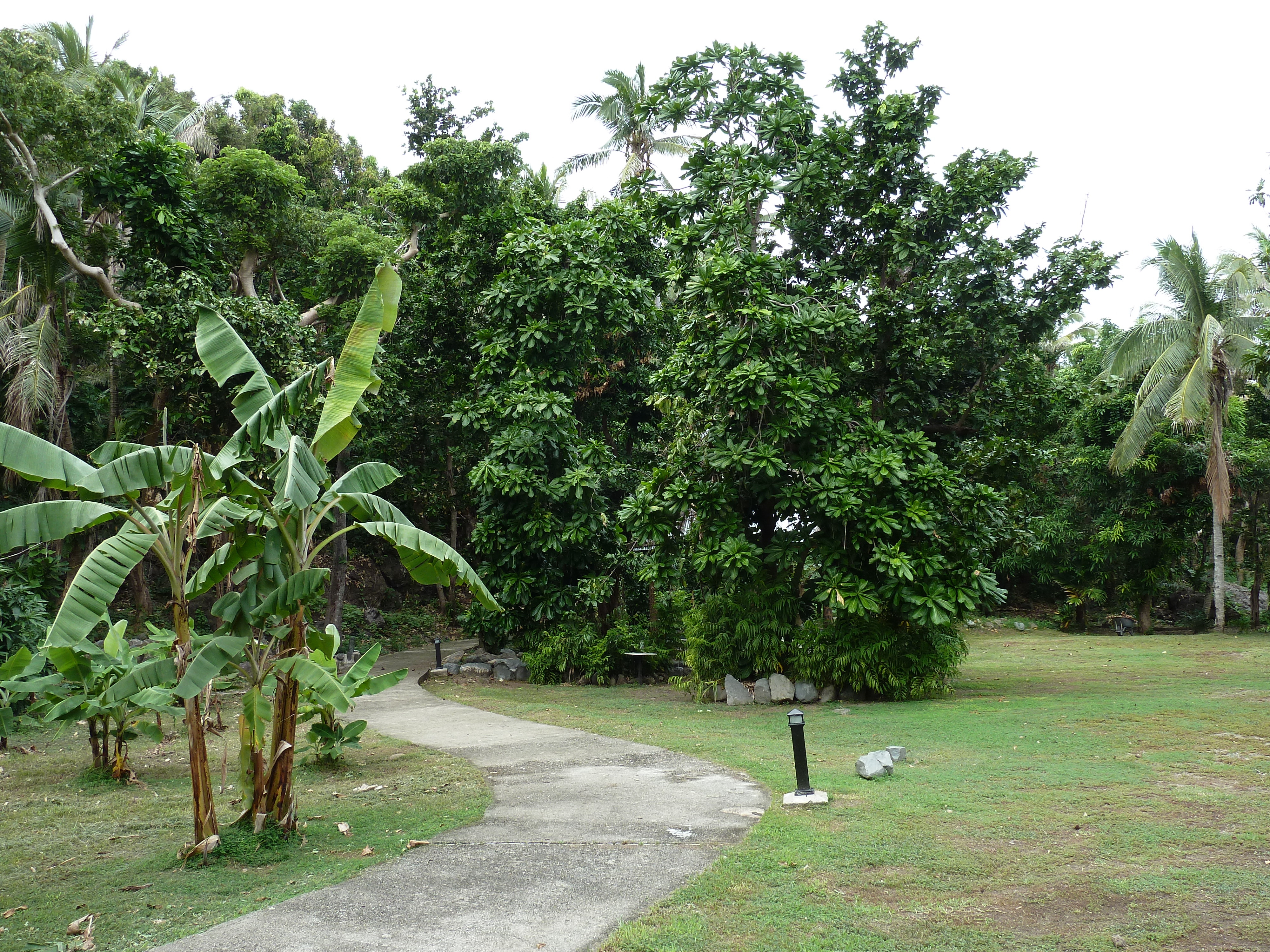 Picture Fiji Amunuca Island Resort 2010-05 74 - Tours Amunuca Island Resort