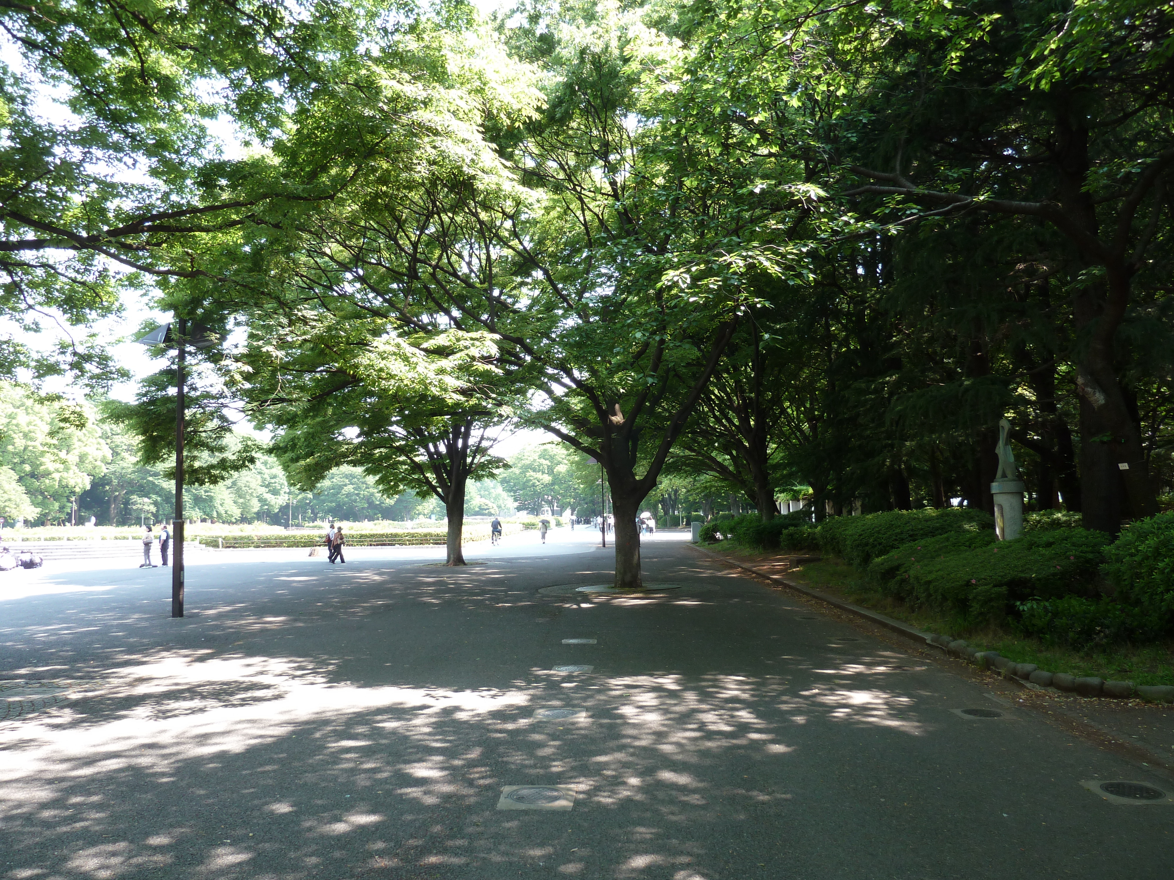 Picture Japan Tokyo Ueno 2010-06 17 - Tour Ueno