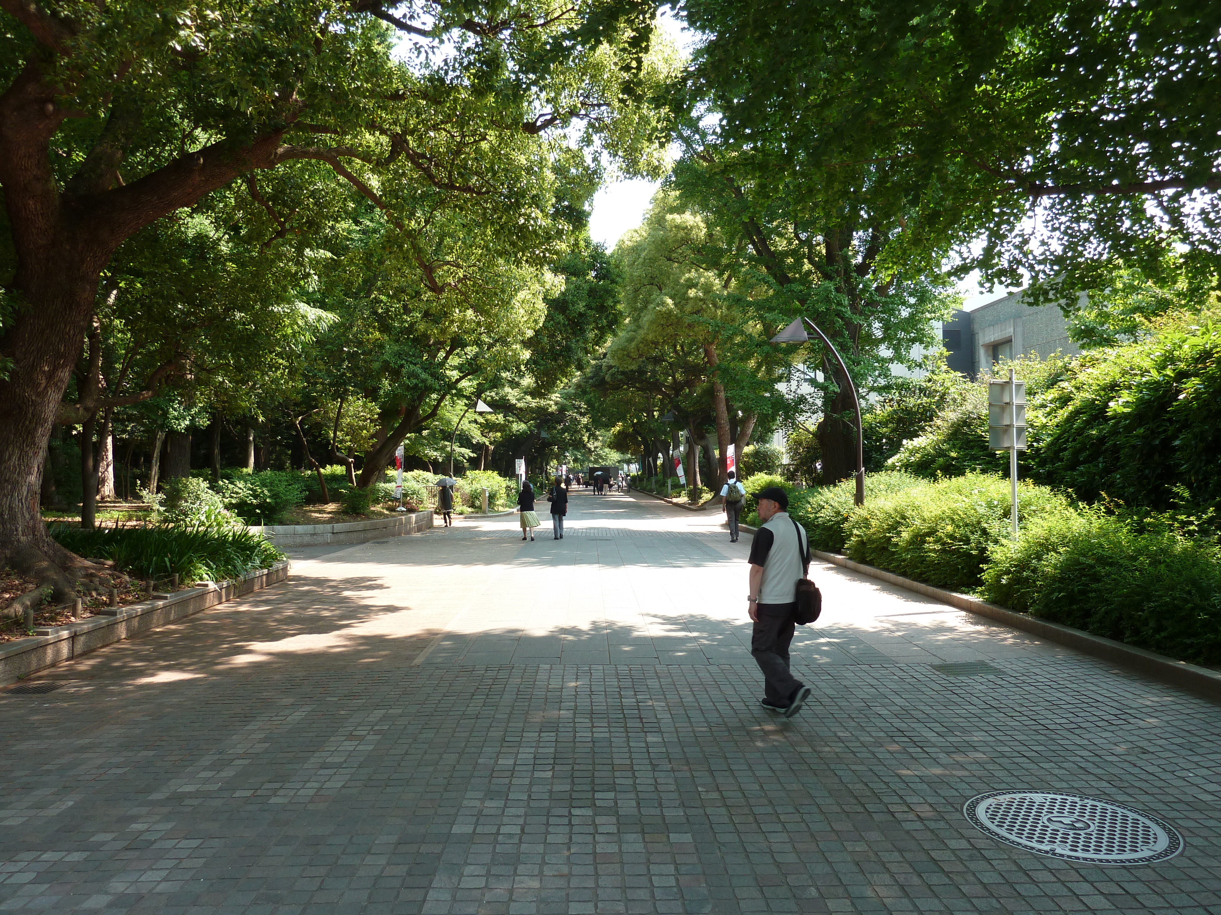 Picture Japan Tokyo Ueno 2010-06 40 - Discovery Ueno