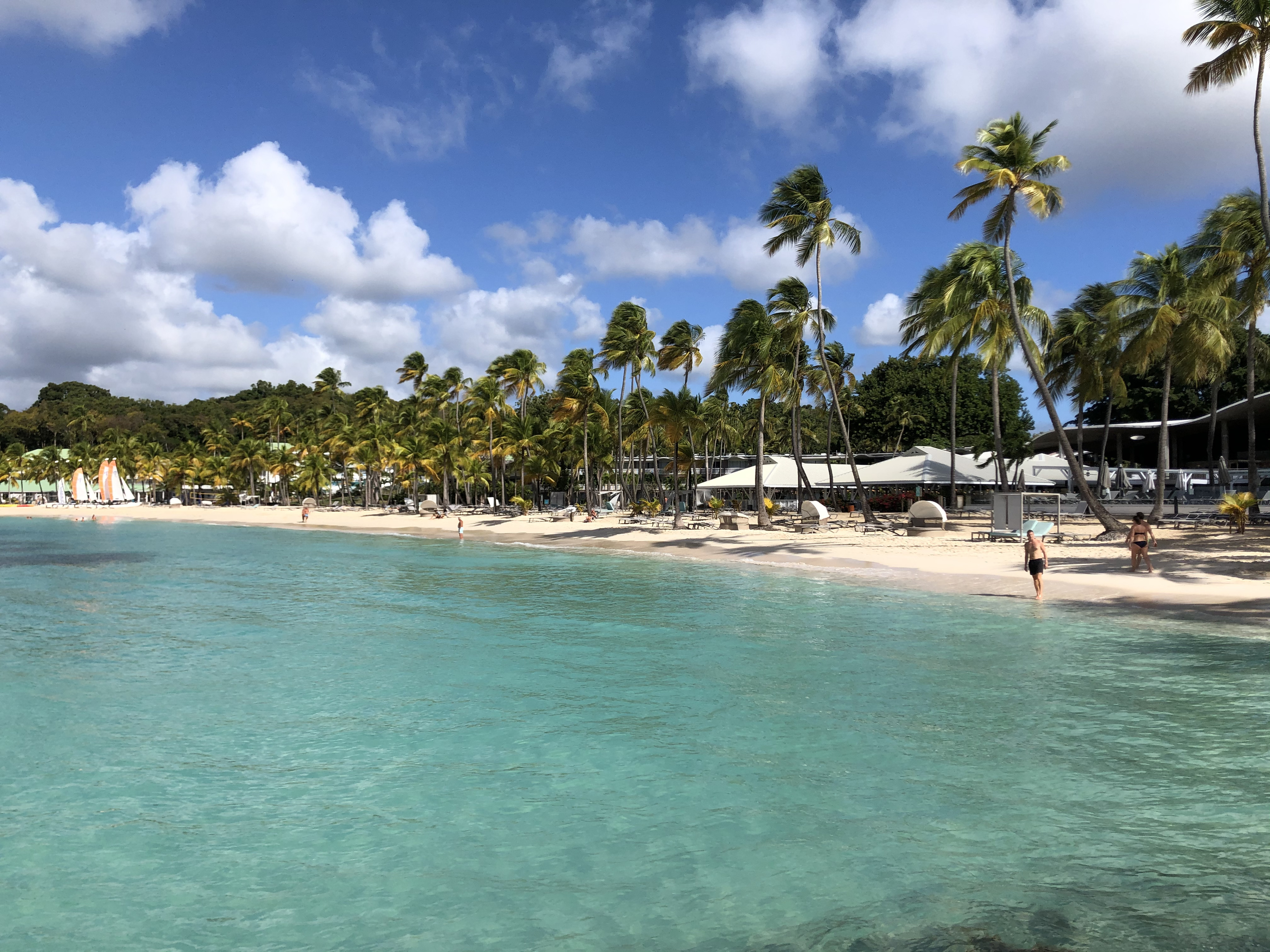 Picture Guadeloupe La Caravelle Beach 2021-02 48 - Tours La Caravelle Beach