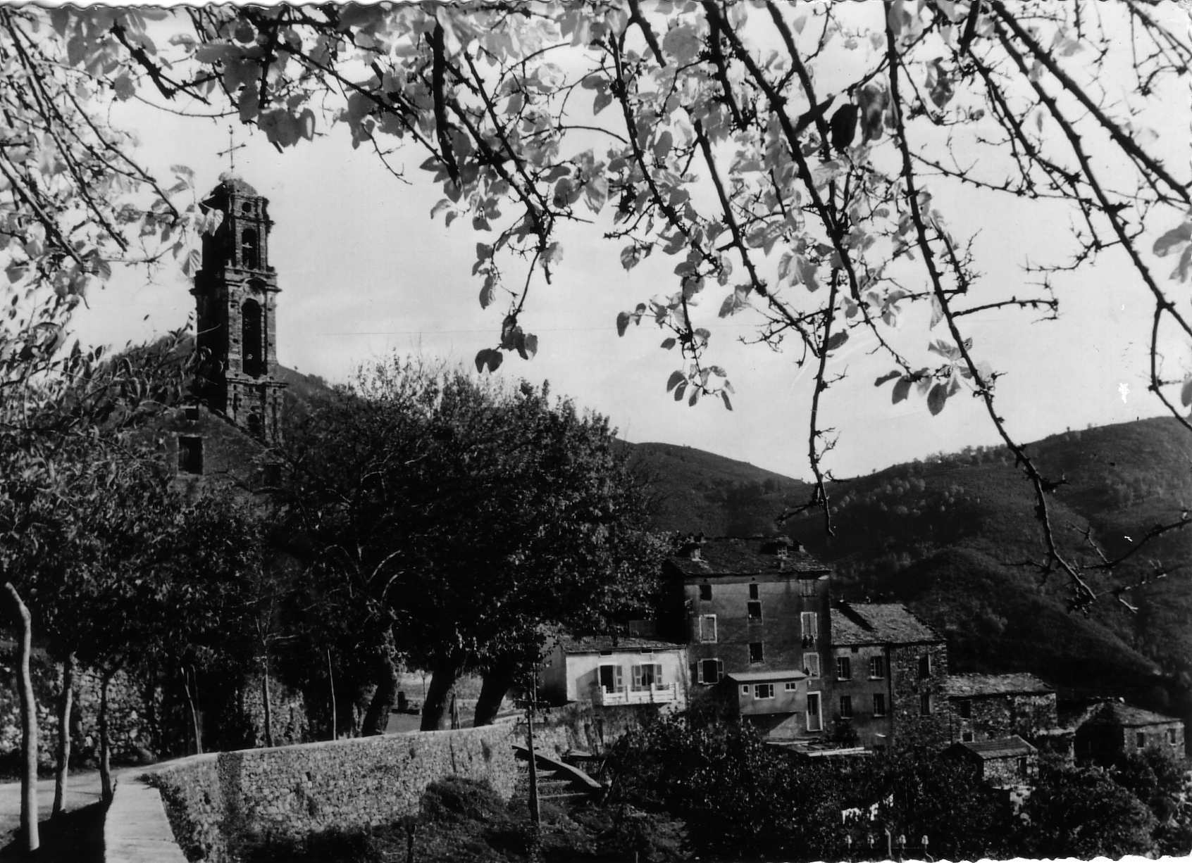 Picture France Corsica Old Postcards 1900-01 143 - Around Old Postcards