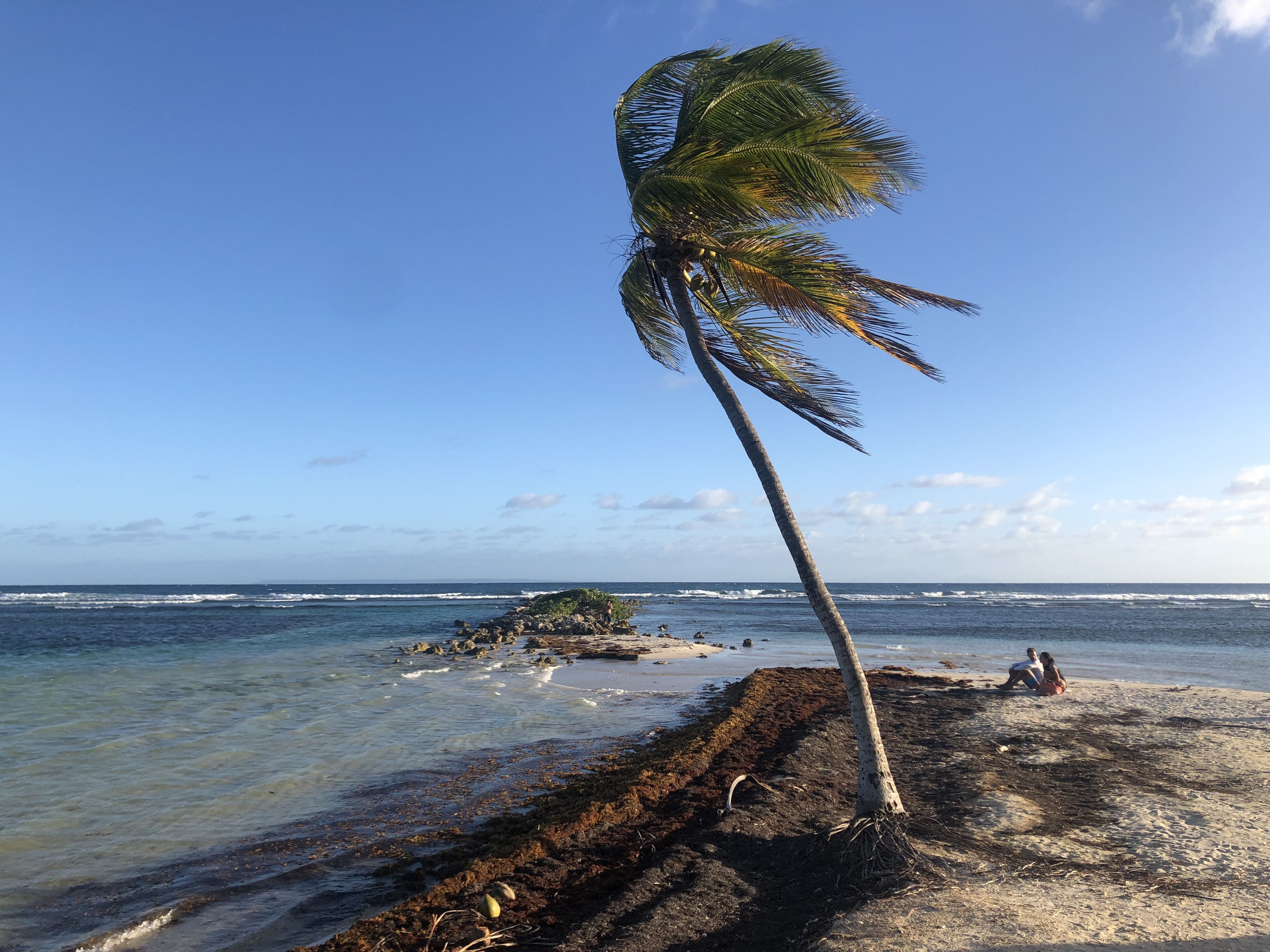 Picture Guadeloupe La Caravelle Beach 2021-02 11 - Tour La Caravelle Beach