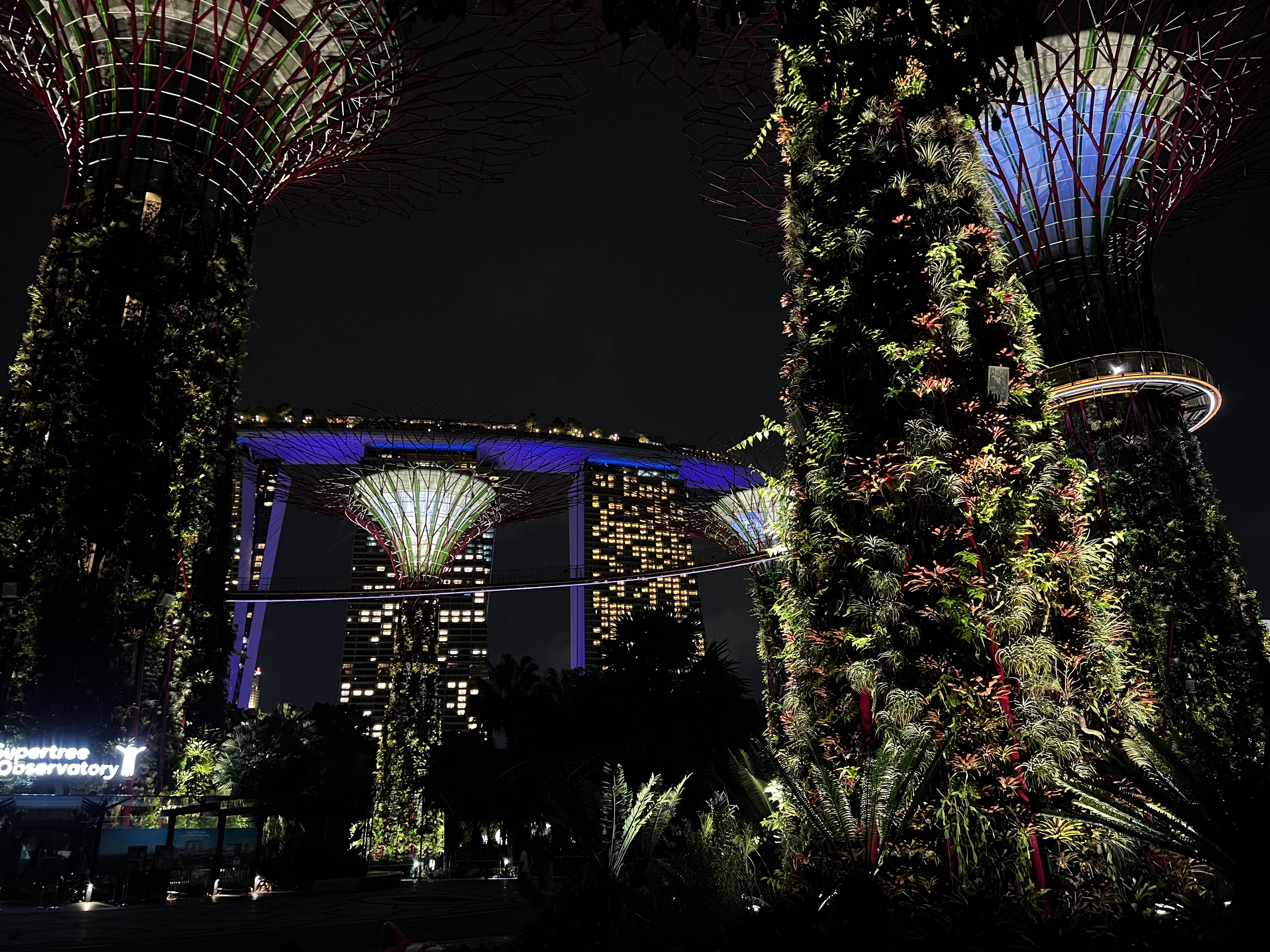 Picture Singapore Garden by the bay 2023-01 28 - Center Garden by the bay