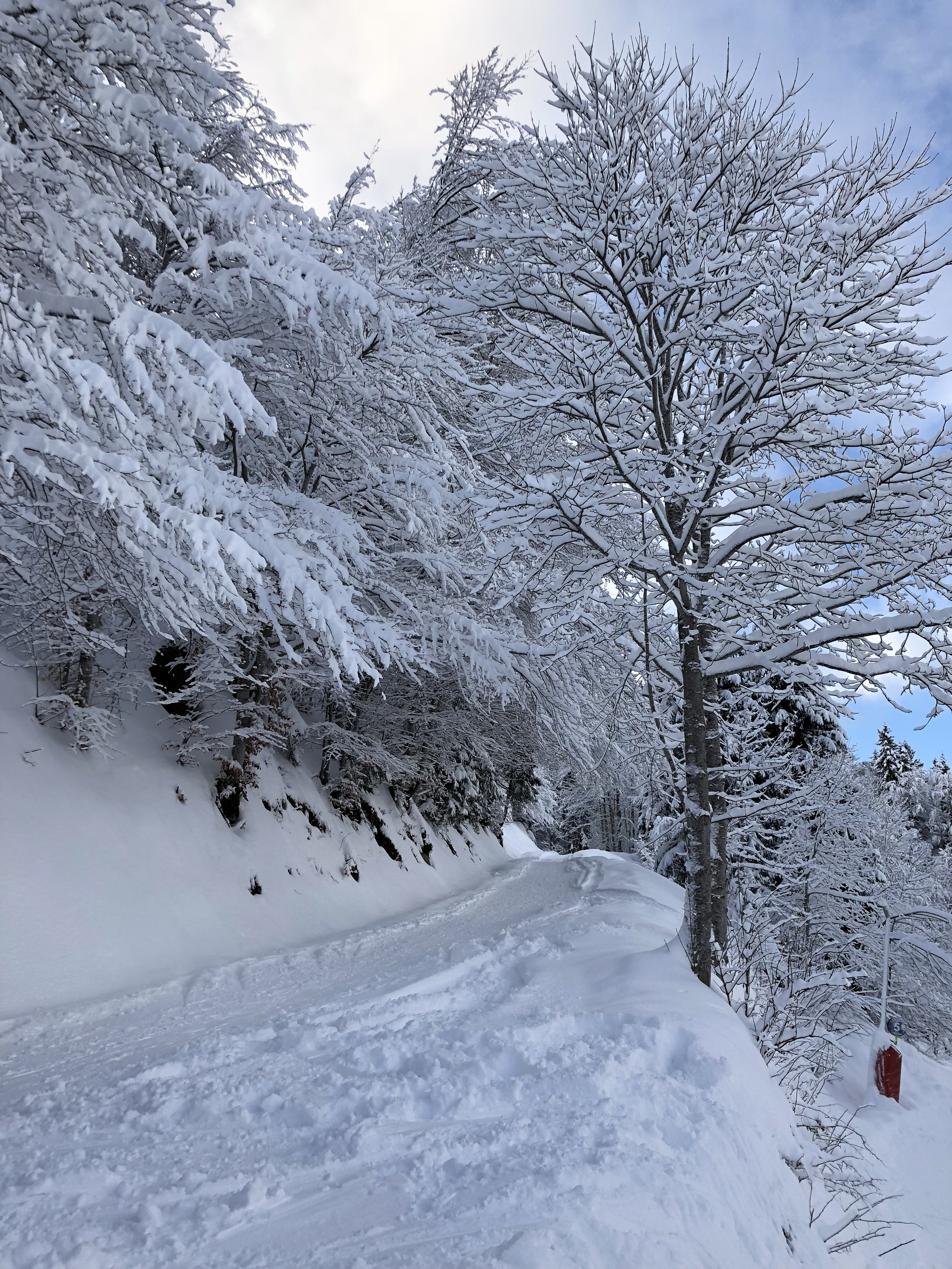 Picture France La Clusaz 2017-12 17 - History La Clusaz